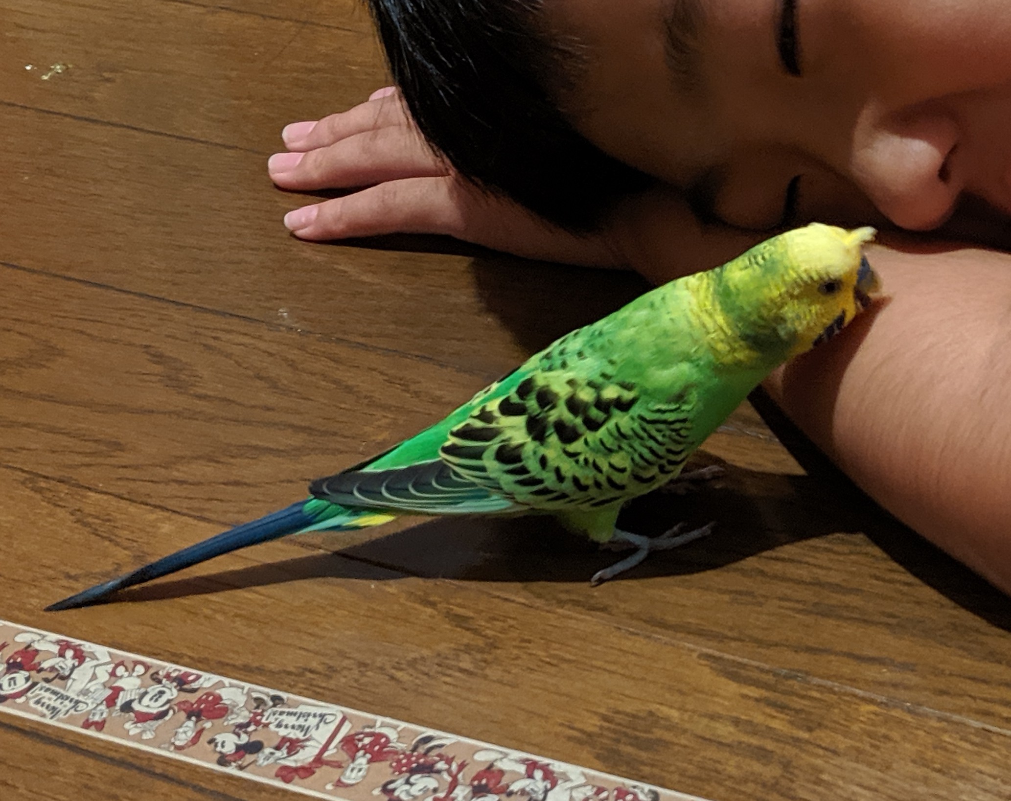 ユーザーの写真