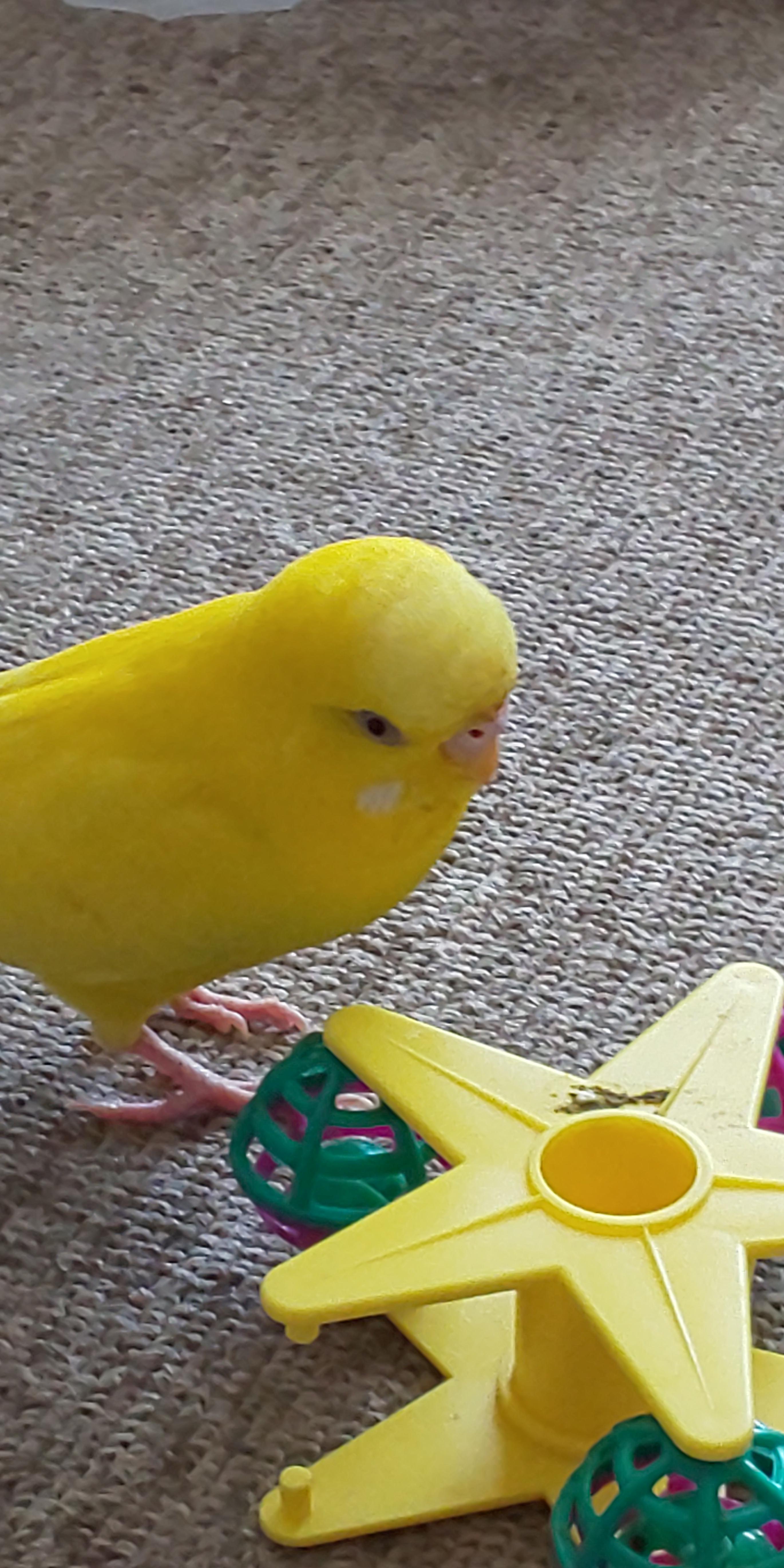 ユーザーの写真