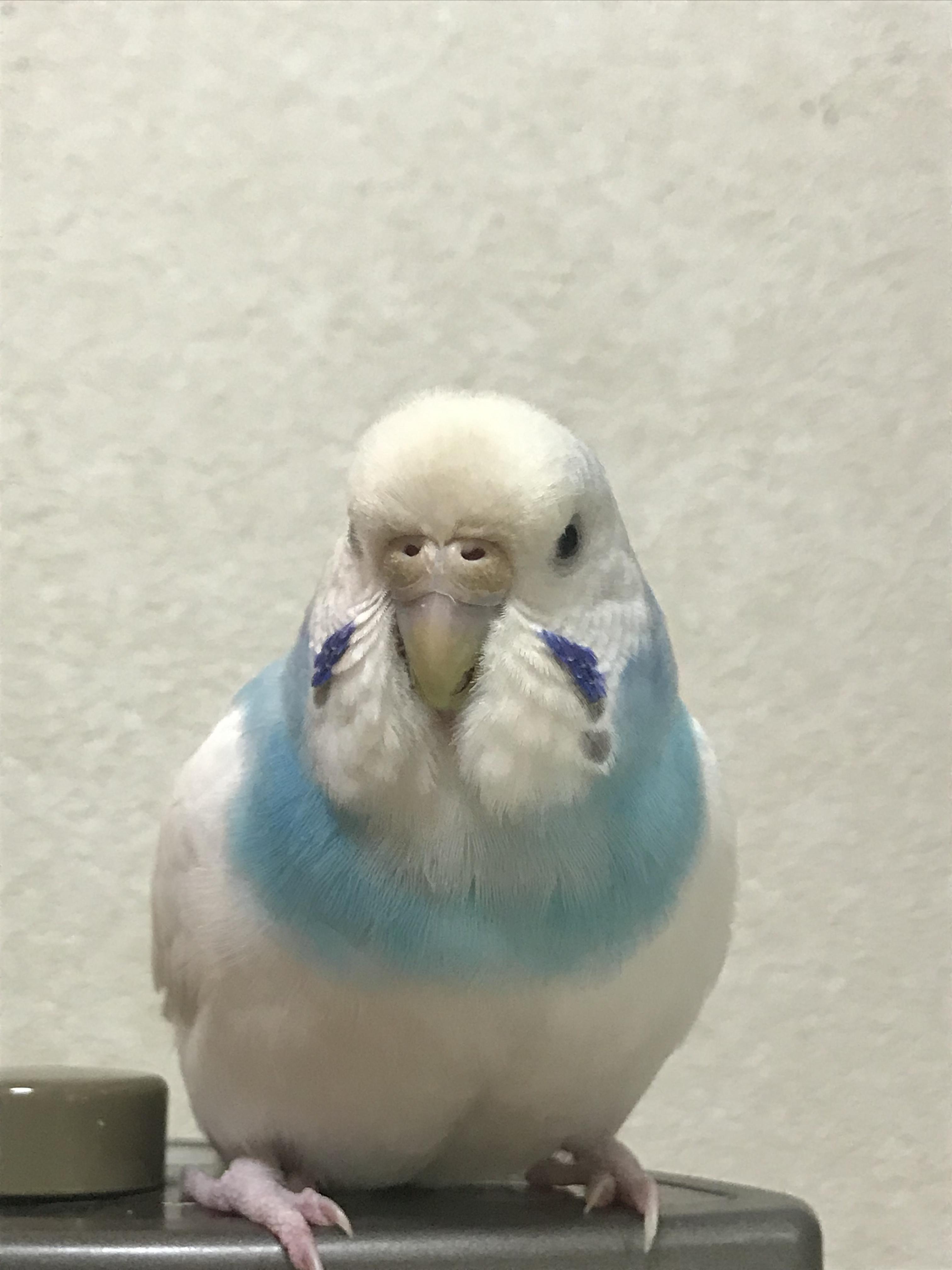 ユーザーの写真