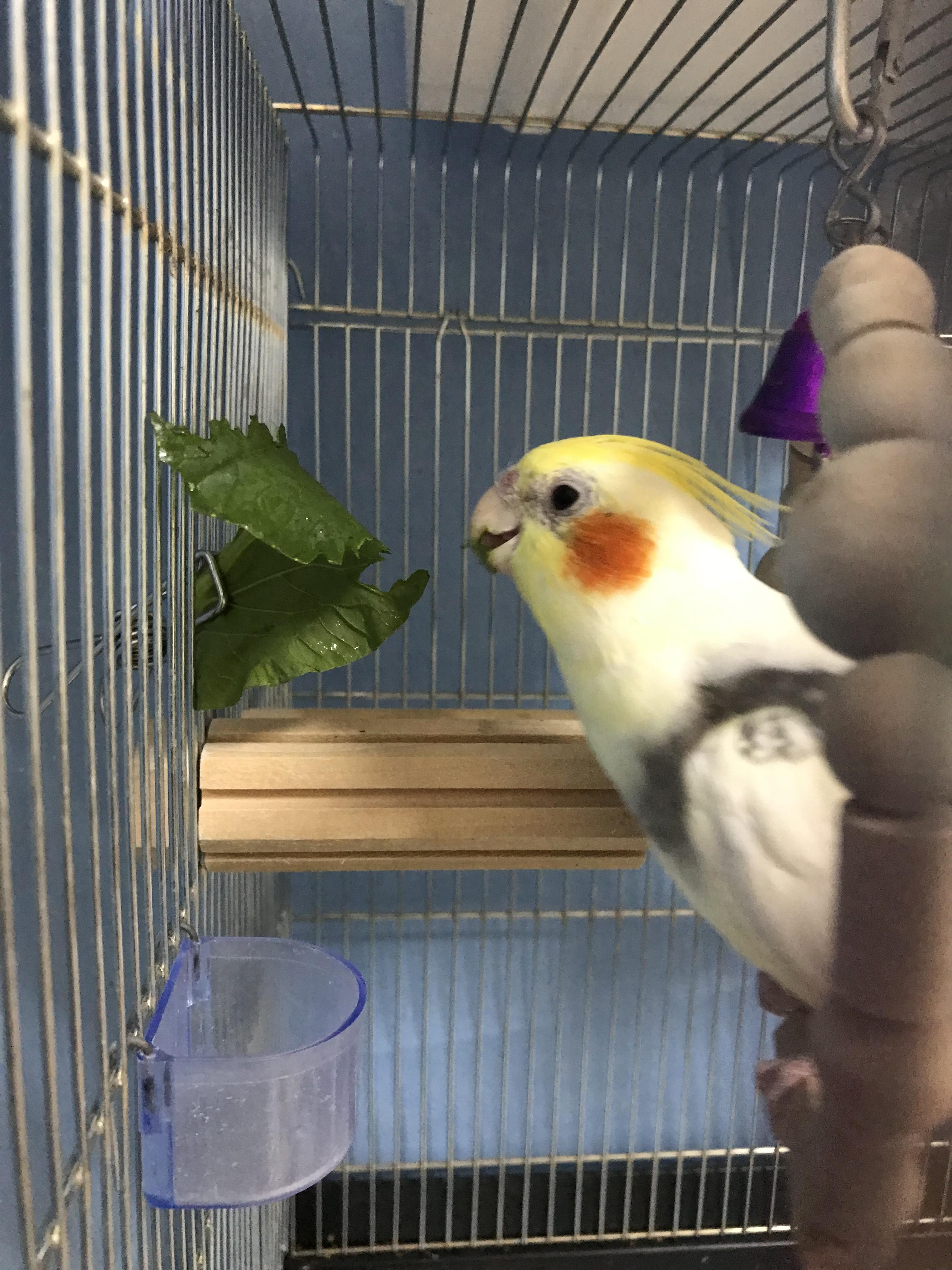 ユーザーの写真