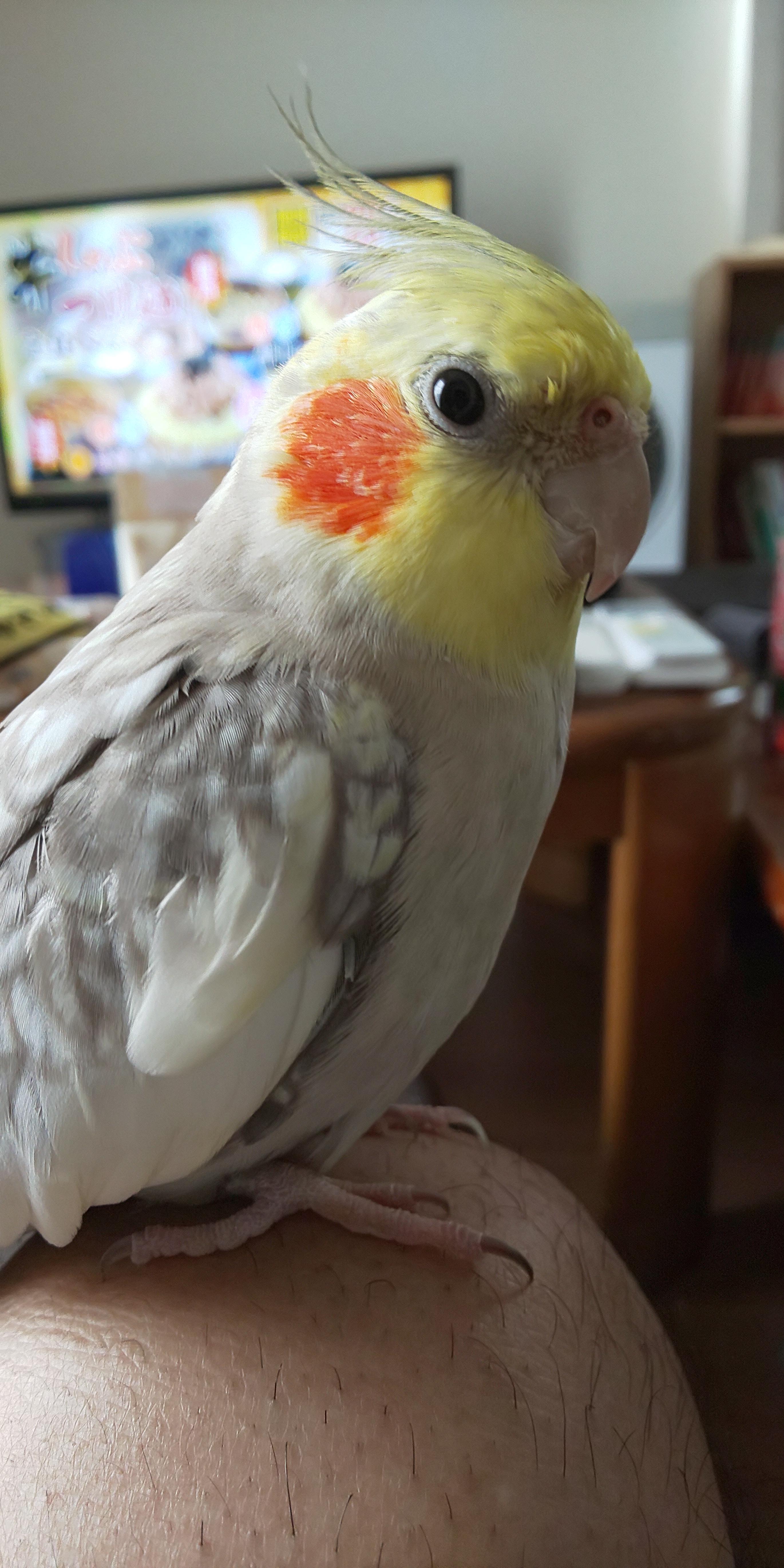 ユーザーの写真