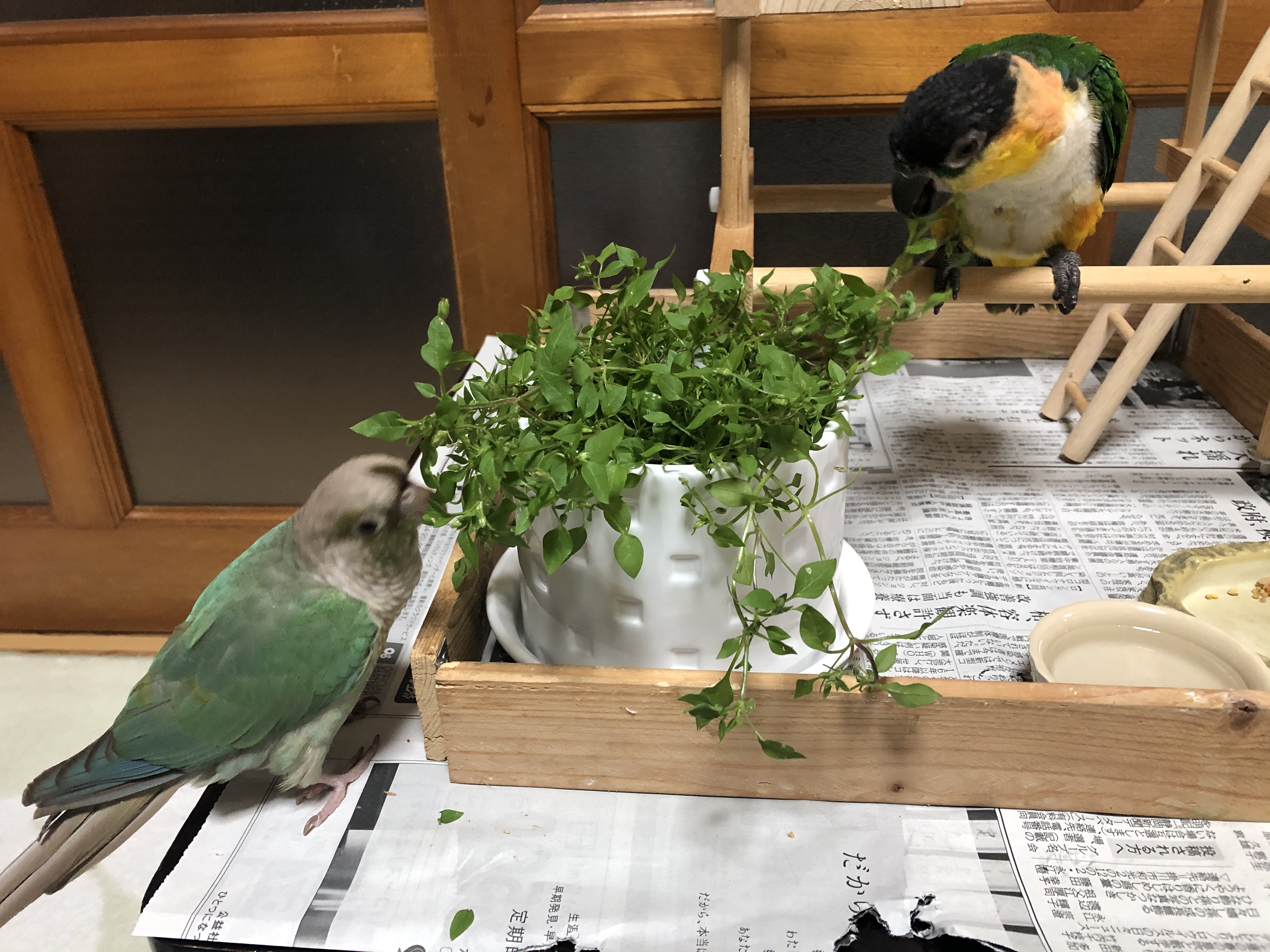 ユーザーの写真