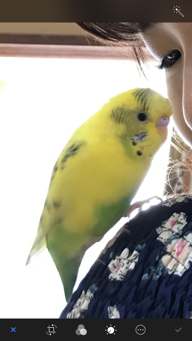 ユーザーの写真