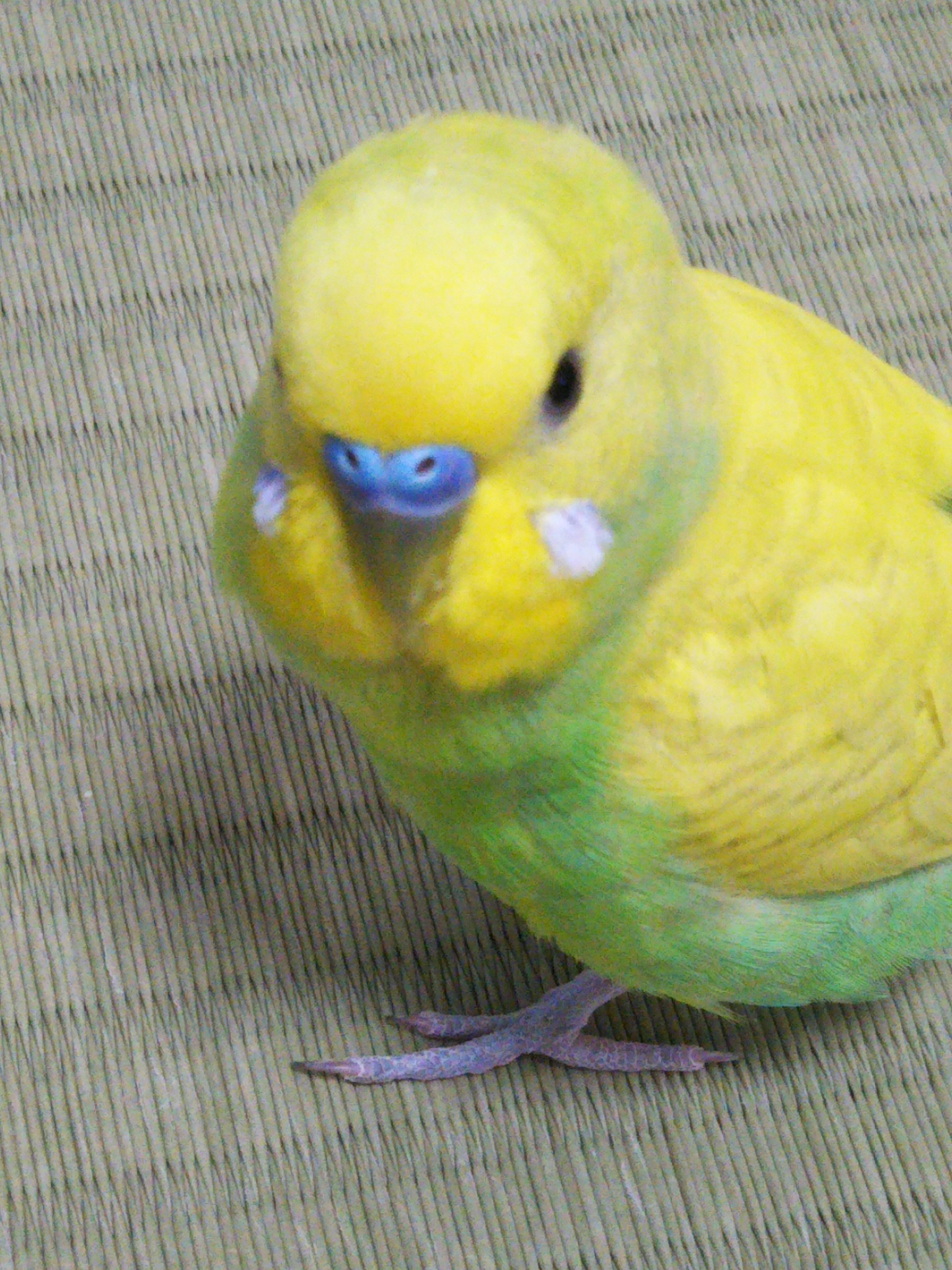 ユーザーの写真