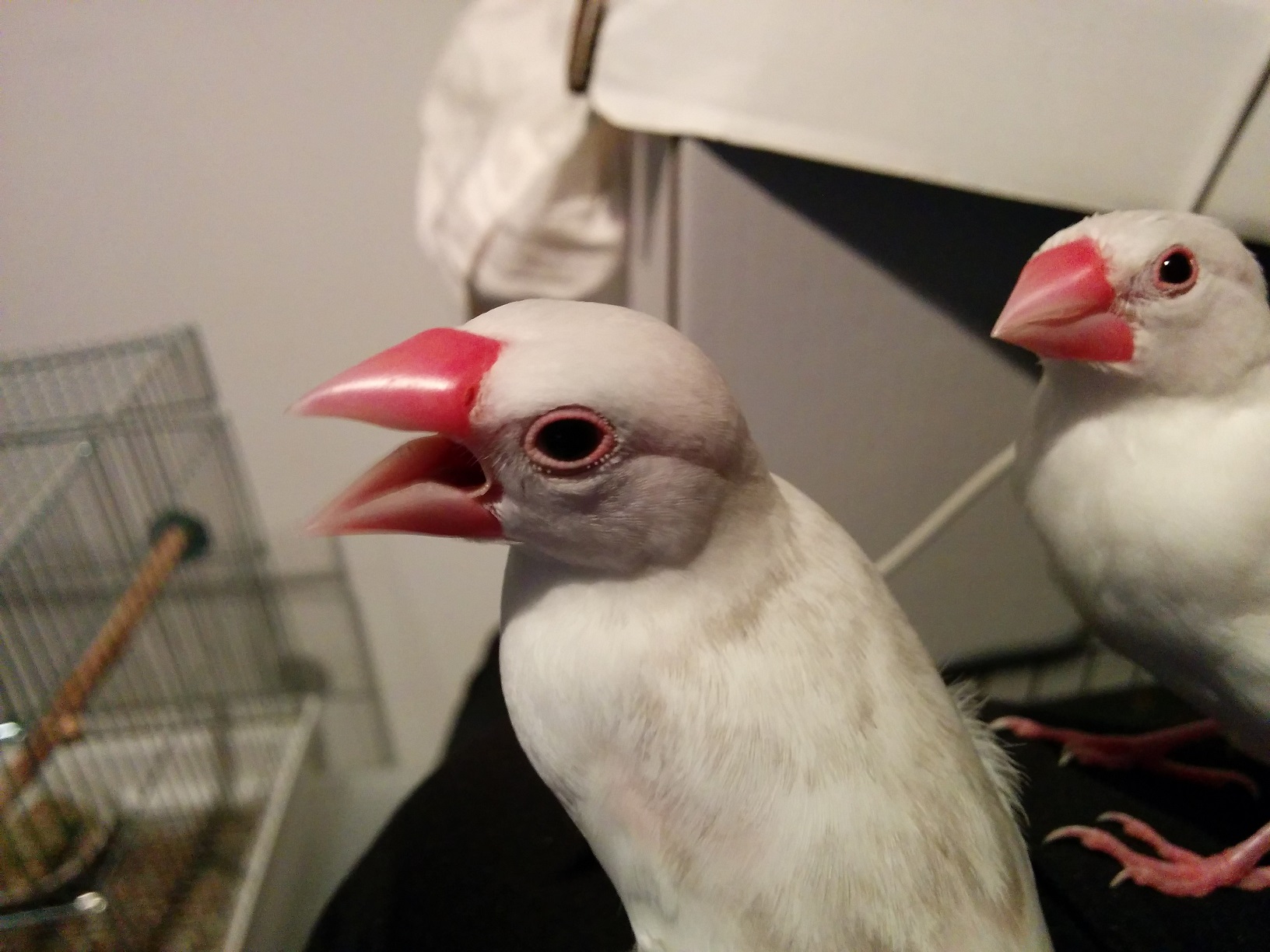 ユーザーの写真