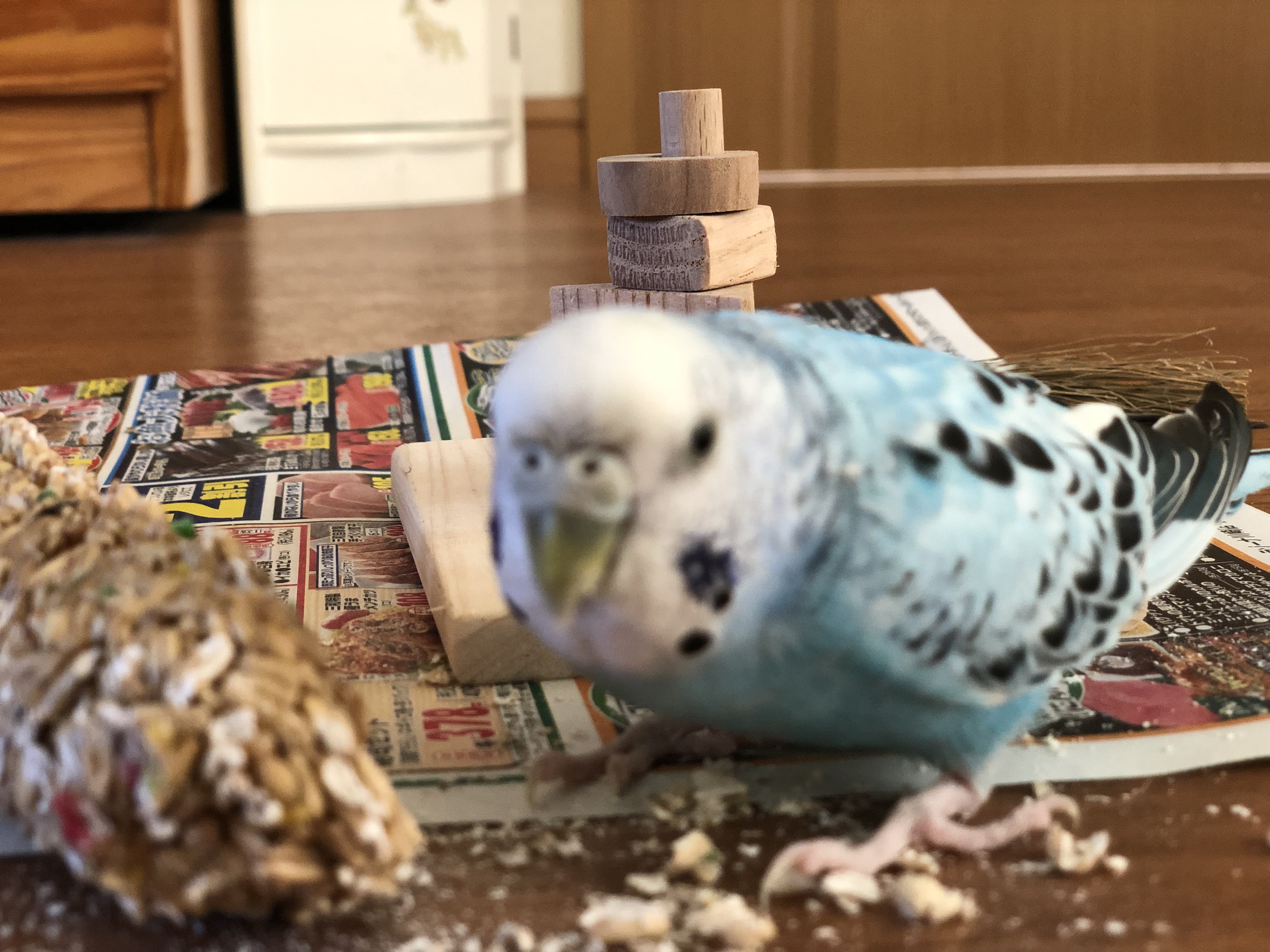 ユーザーの写真
