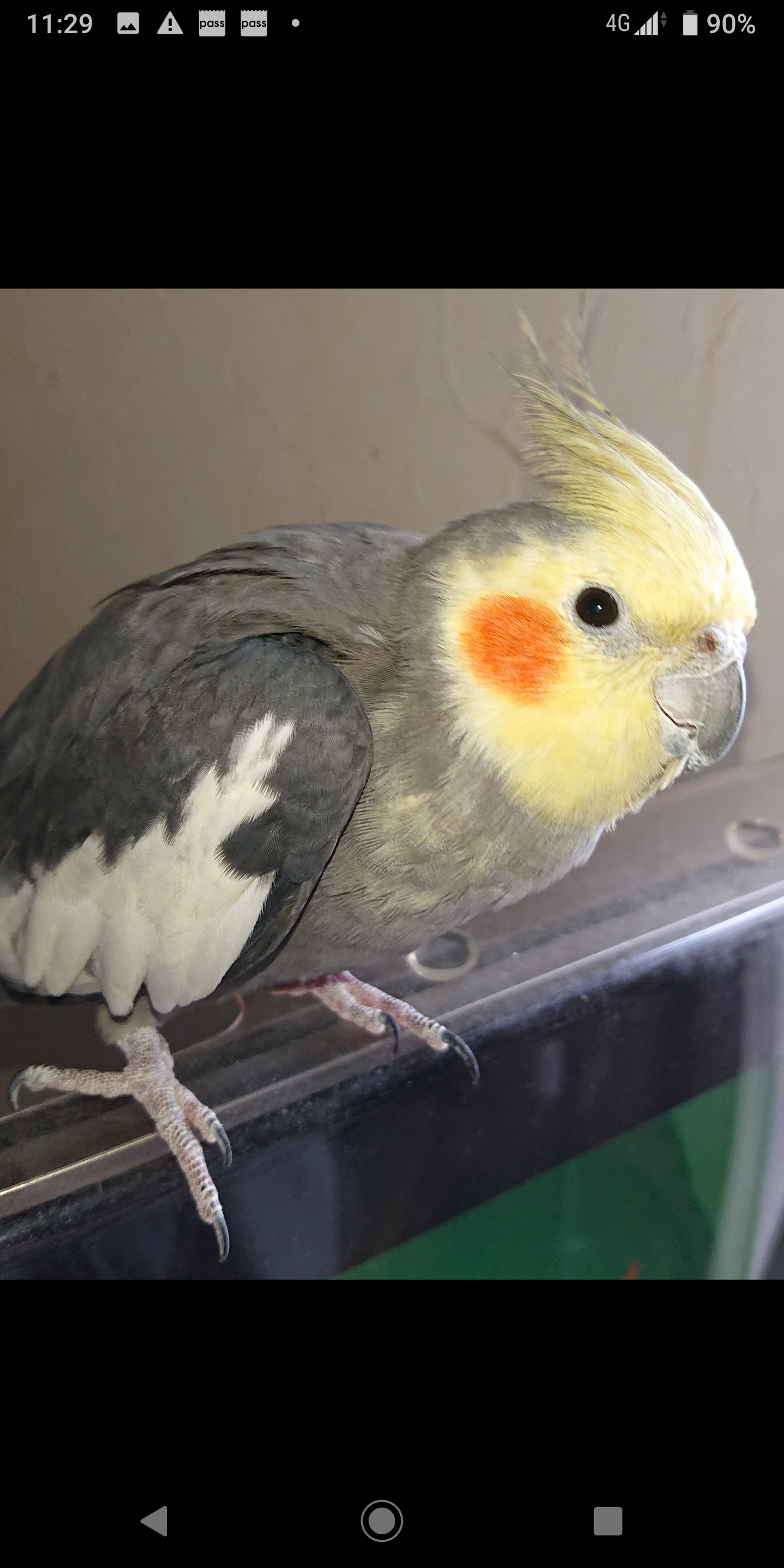 ユーザーの写真