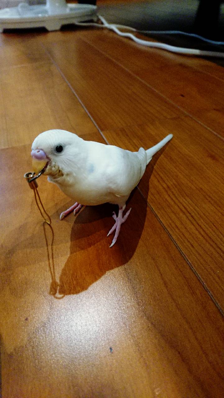 ユーザーの写真