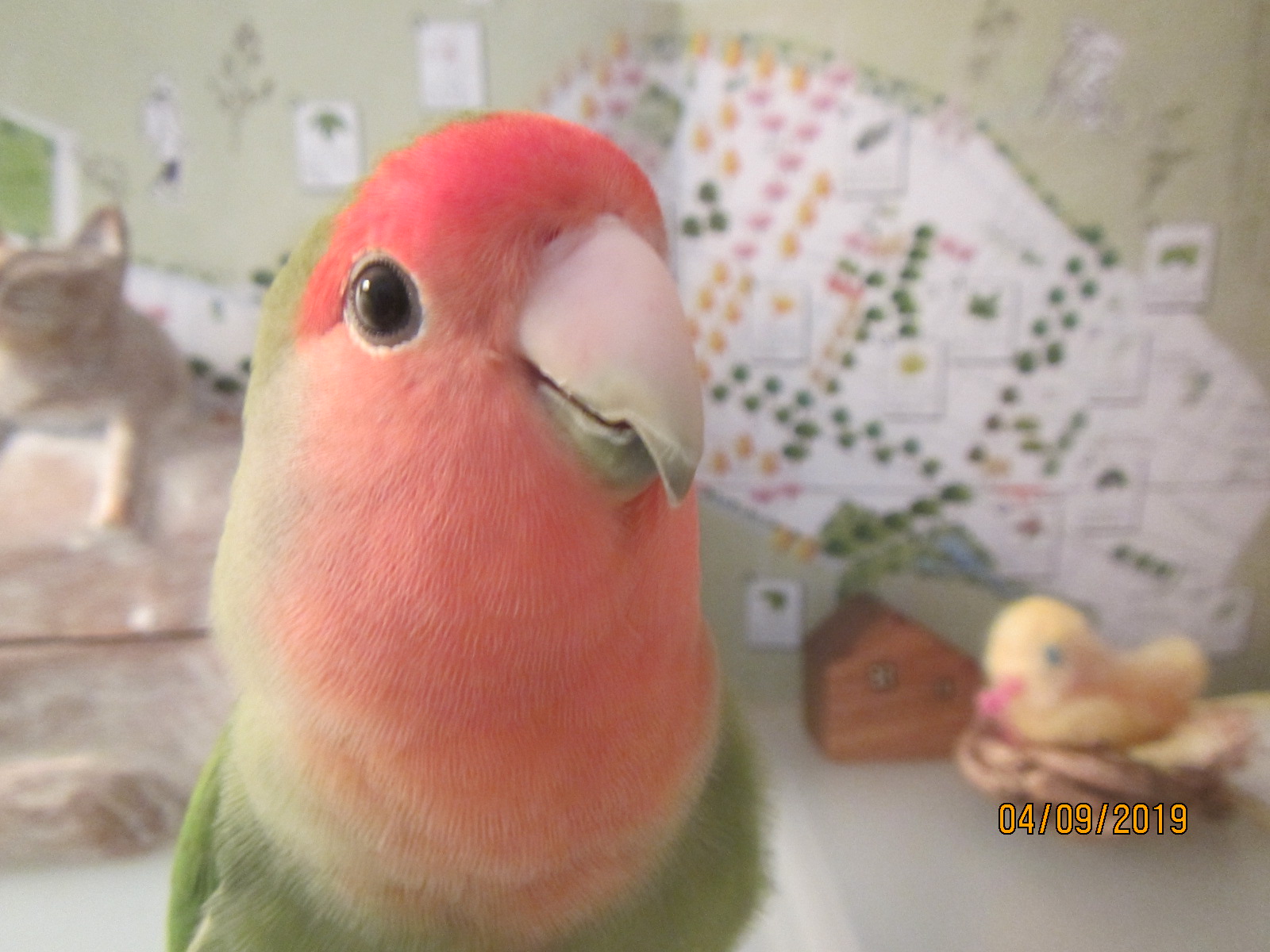 ユーザーの写真