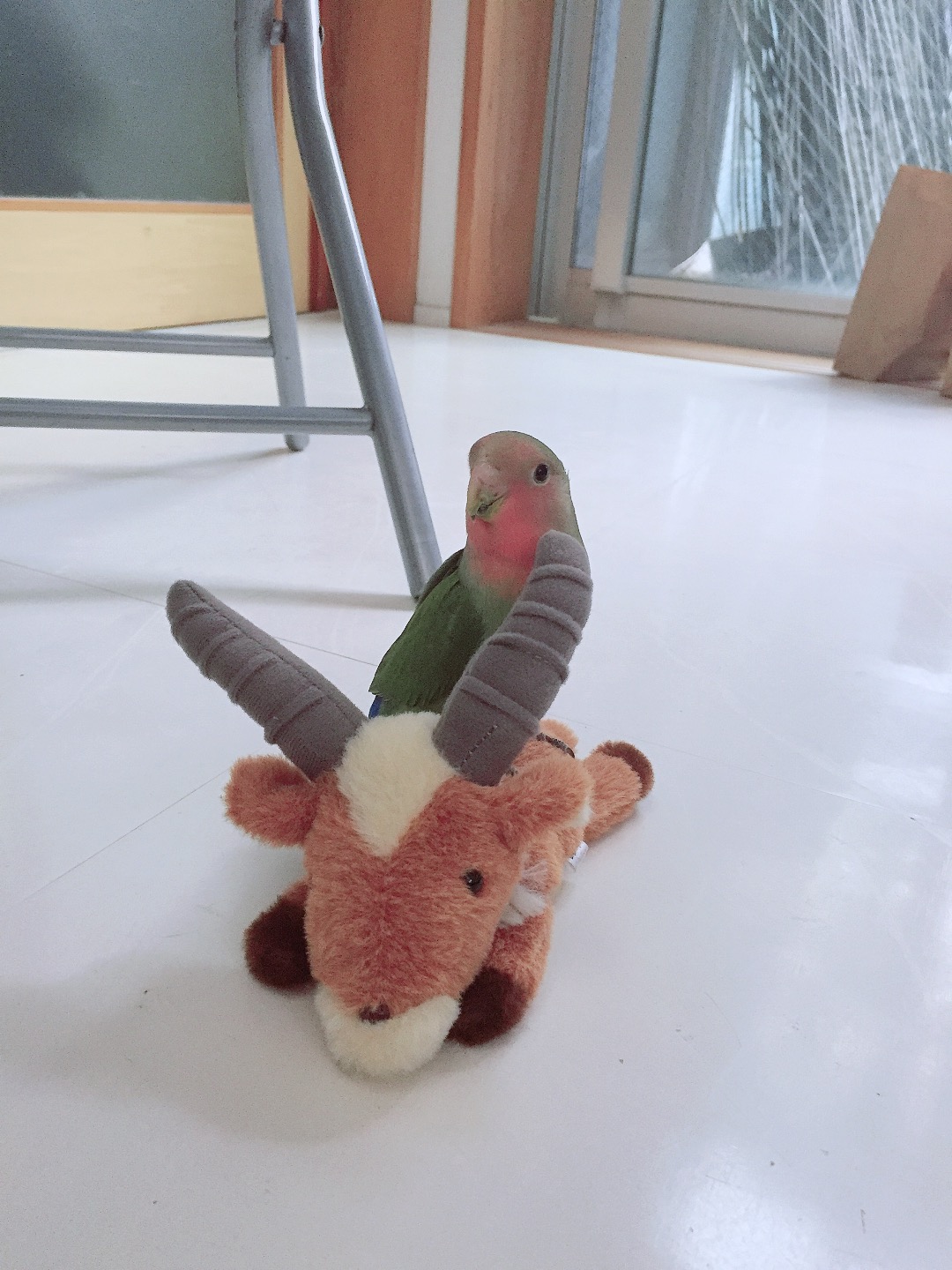 ユーザーの写真