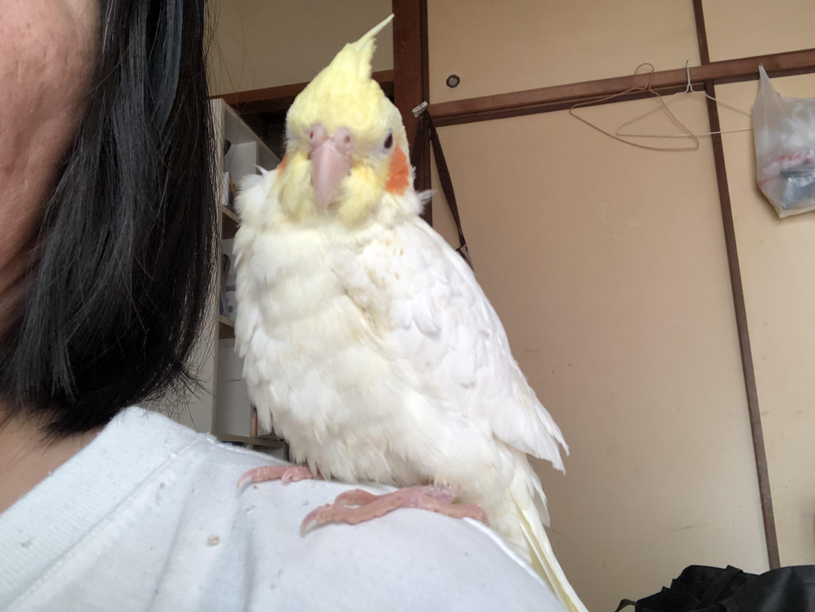 ユーザーの写真