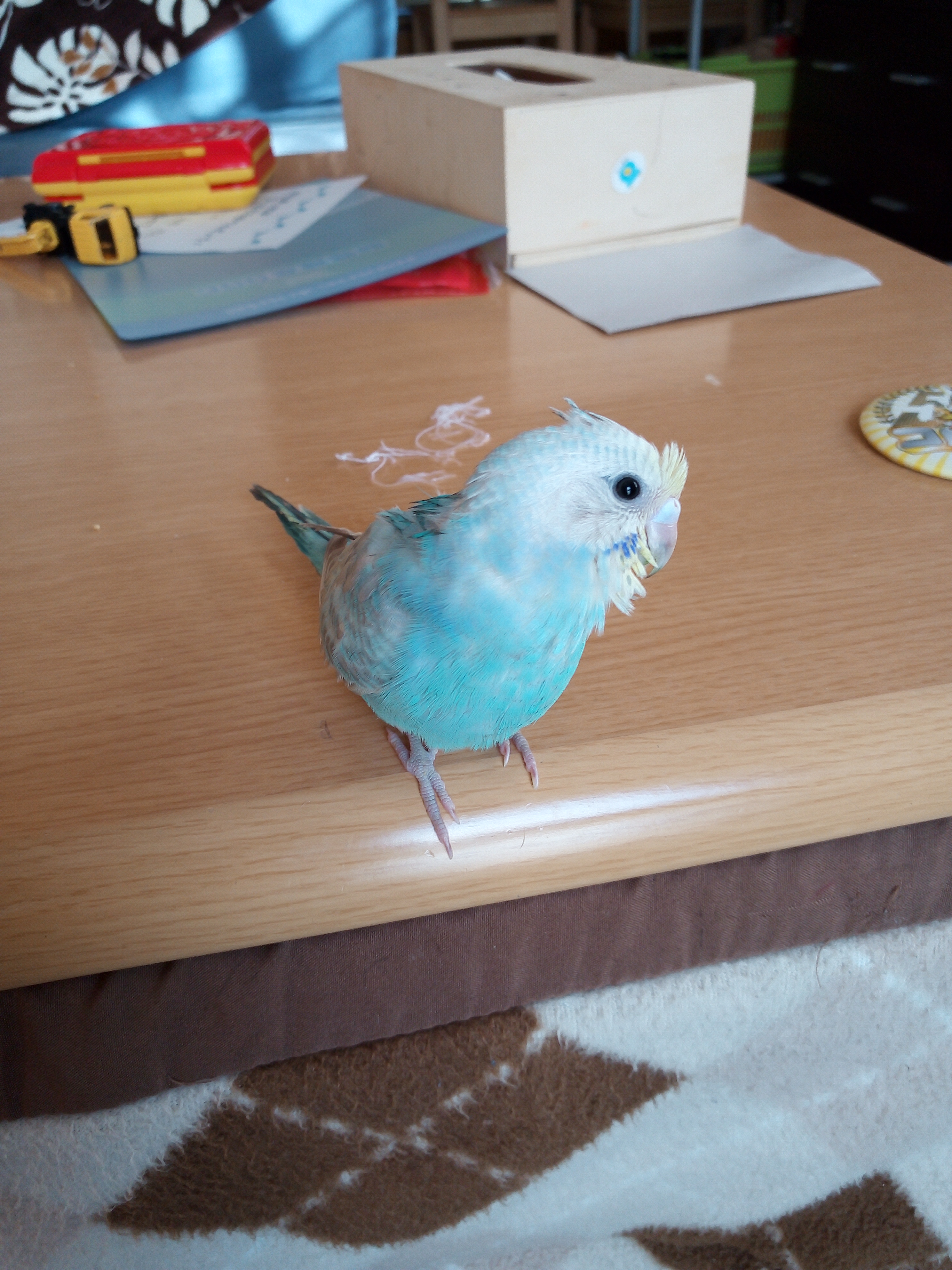 ユーザーの写真