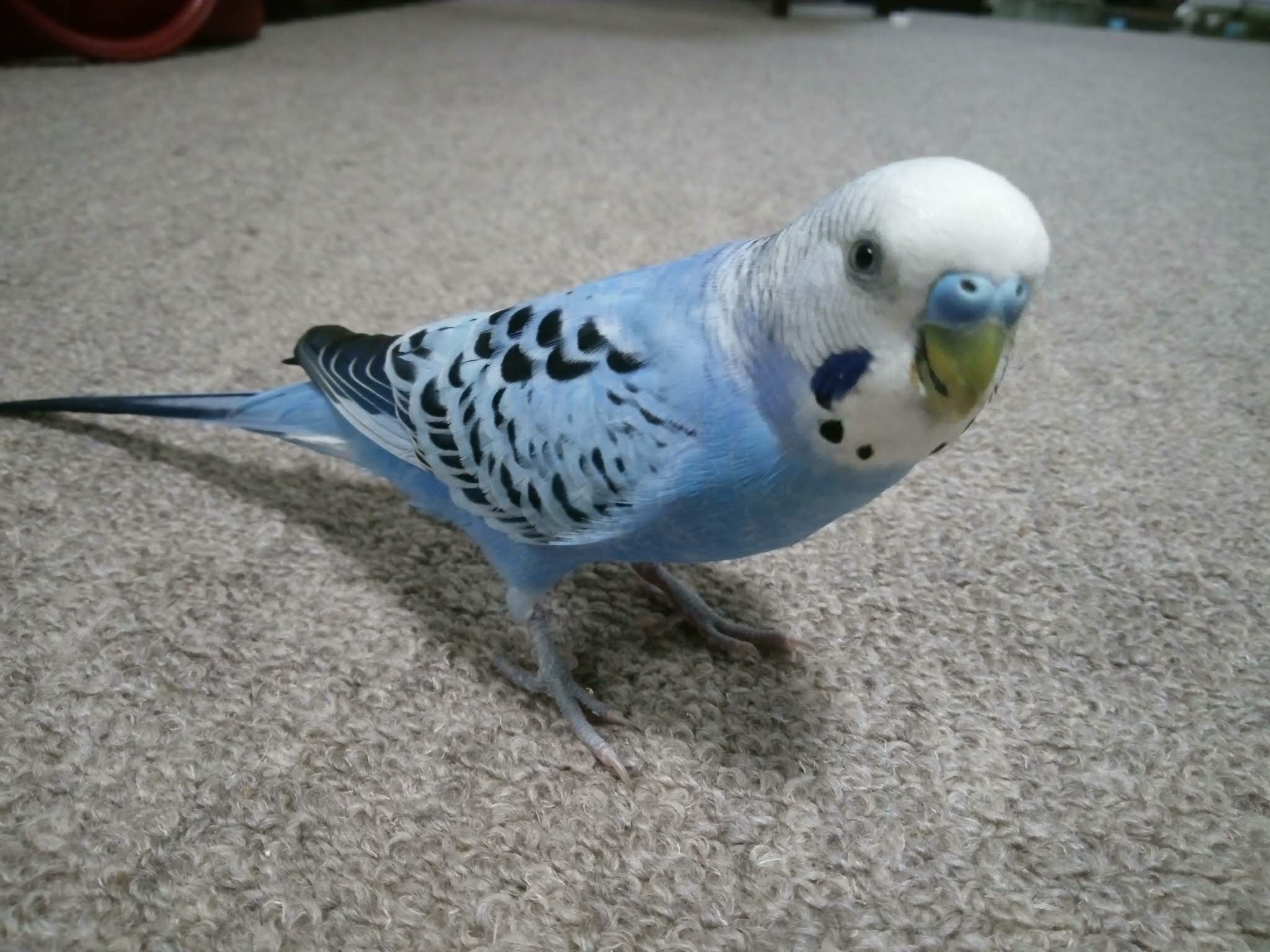 ユーザーの写真