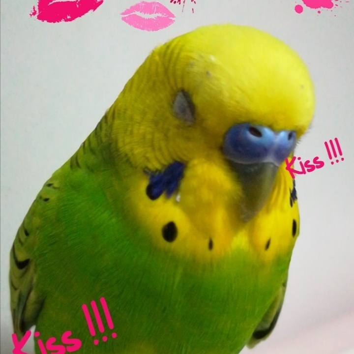 ユーザーの写真