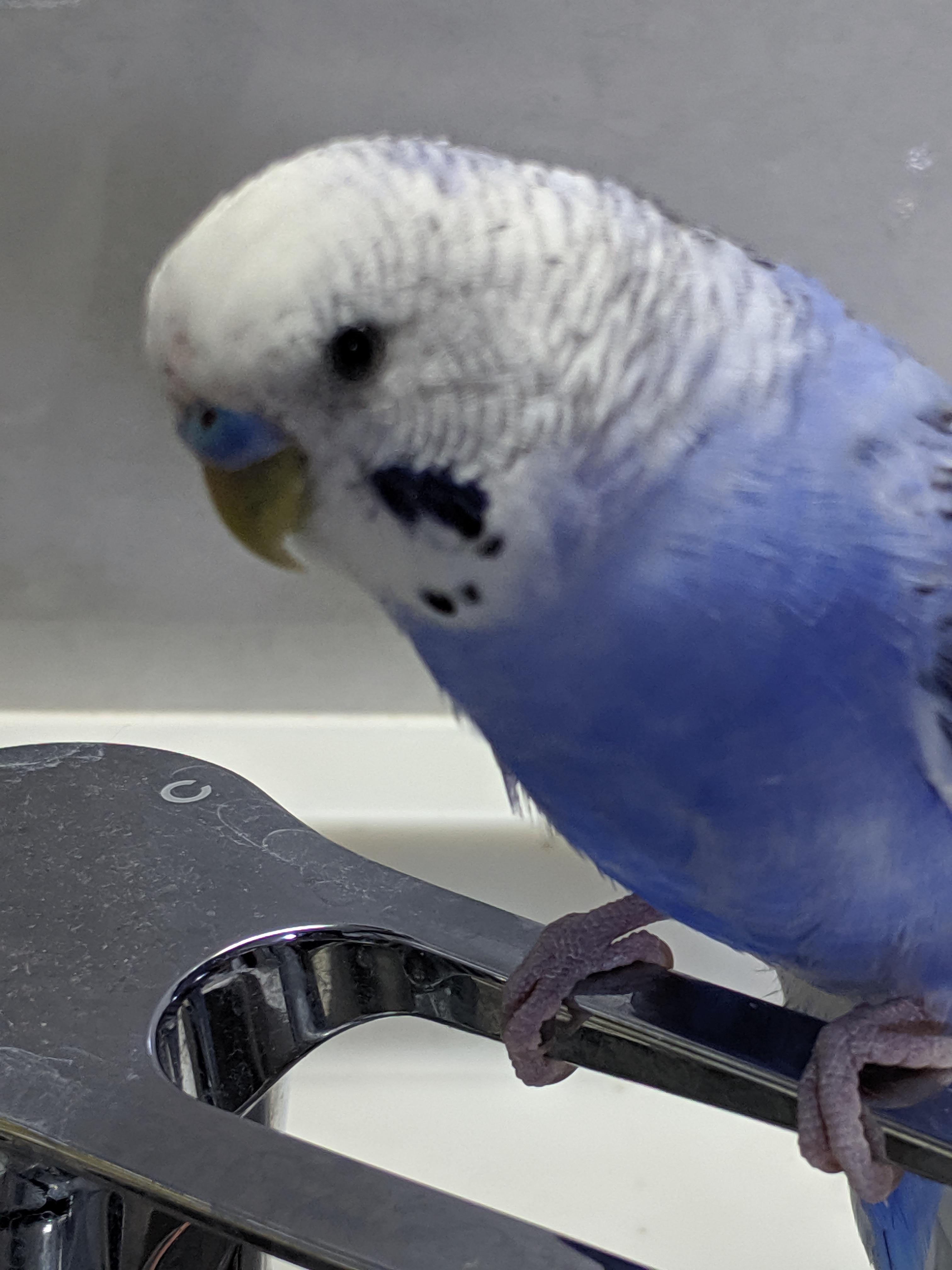 ユーザーの写真