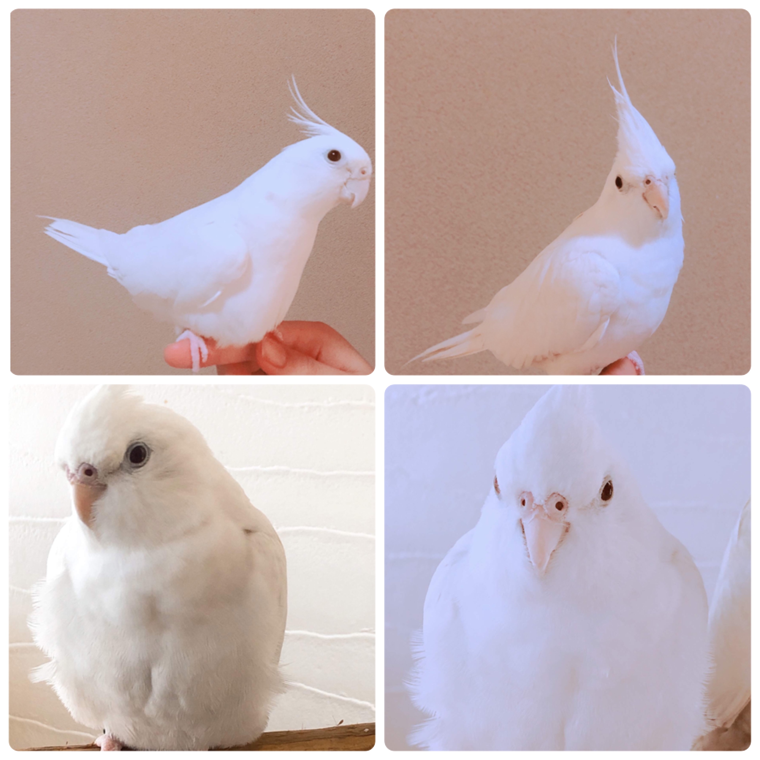ユーザーの写真