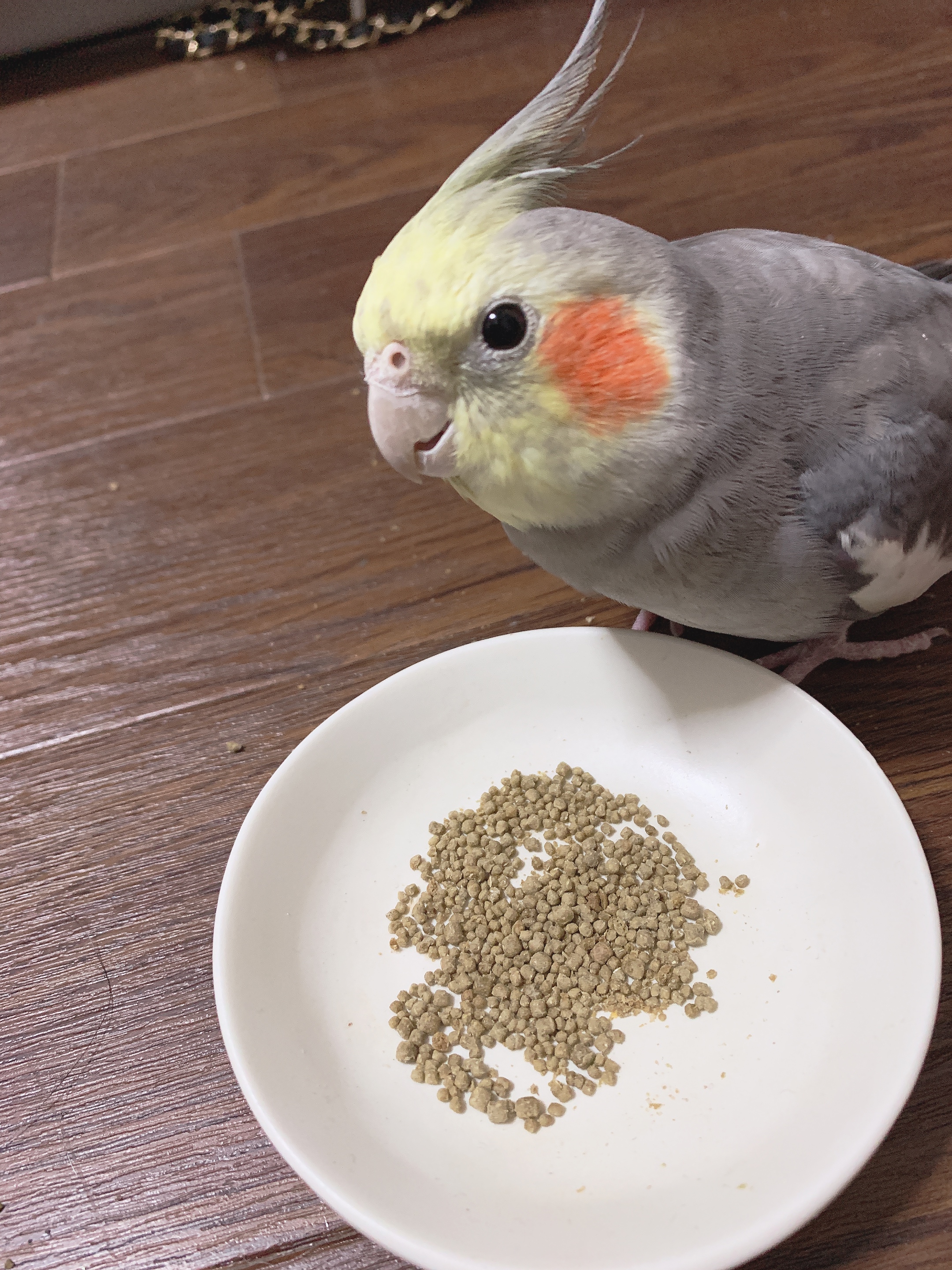 ユーザーの写真