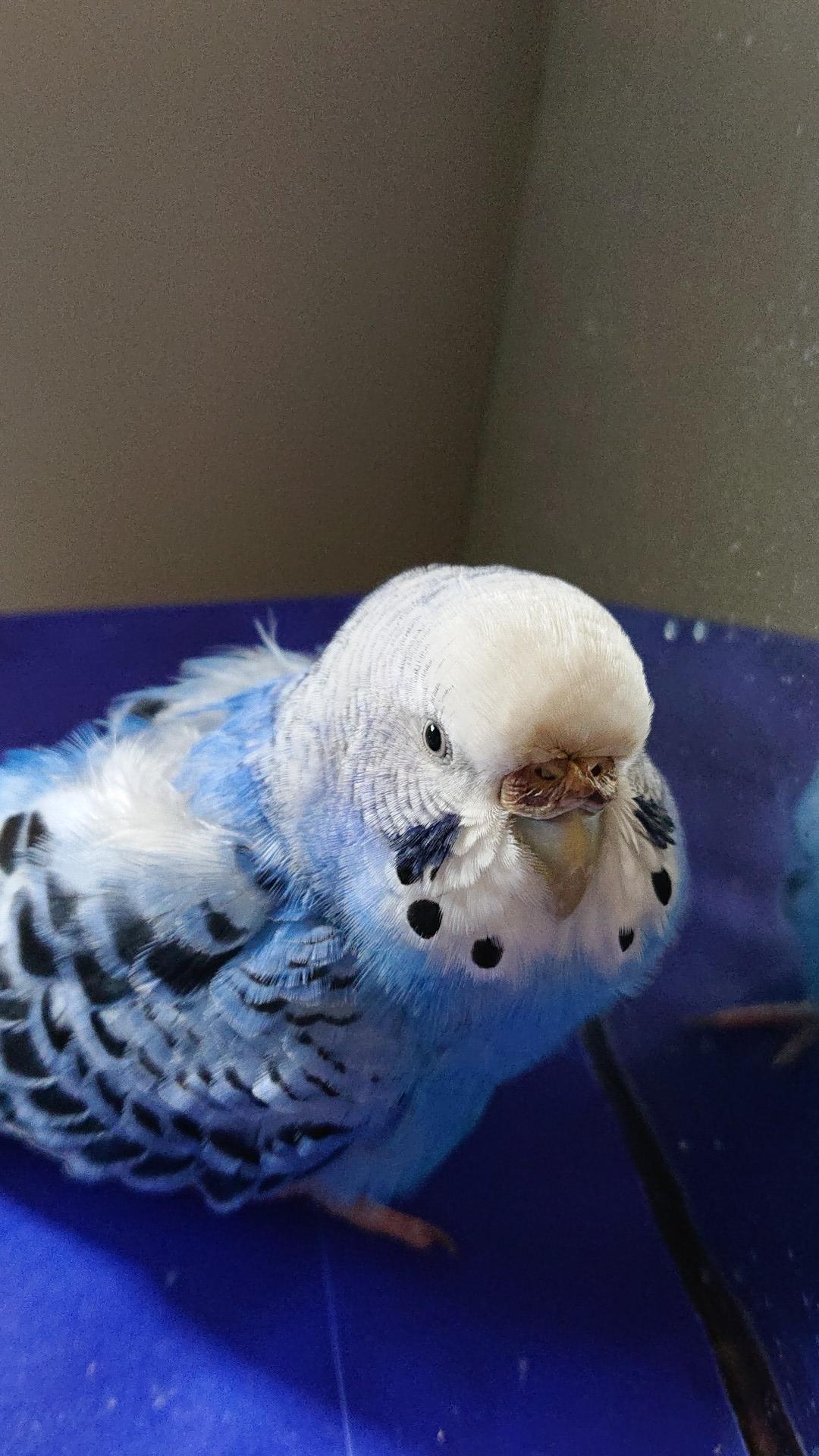 ユーザーの写真