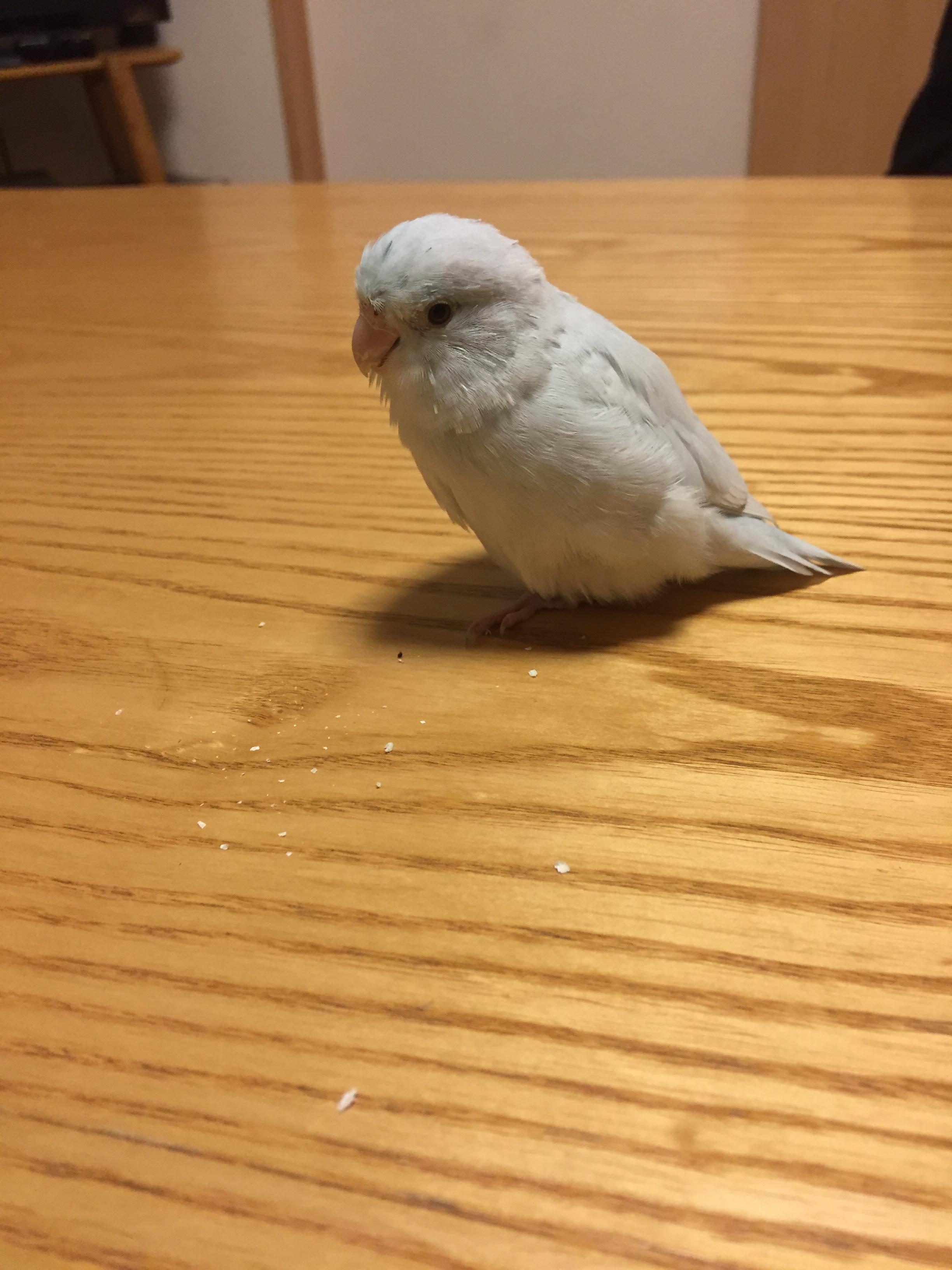 ユーザーの写真