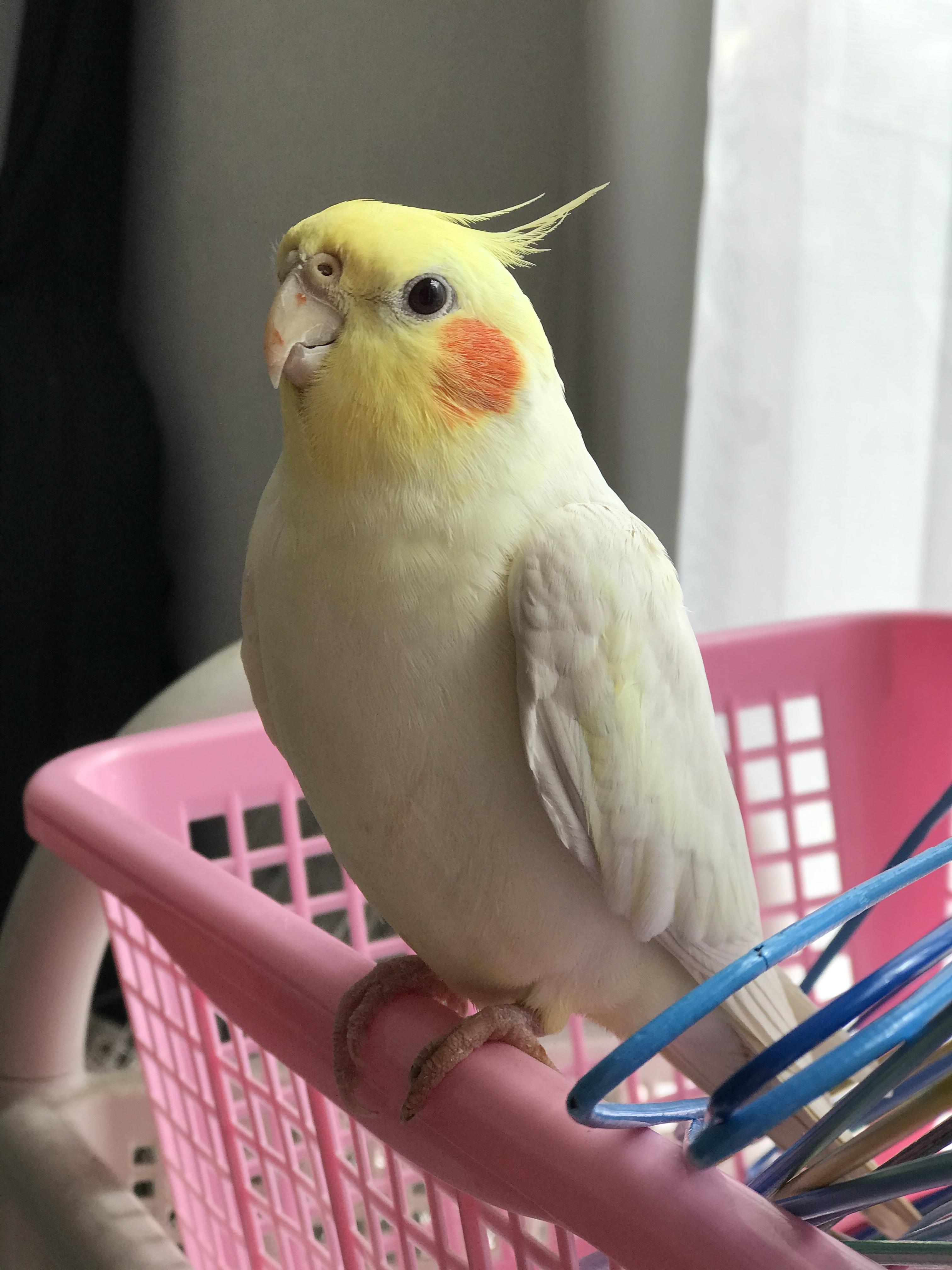 ユーザーの写真