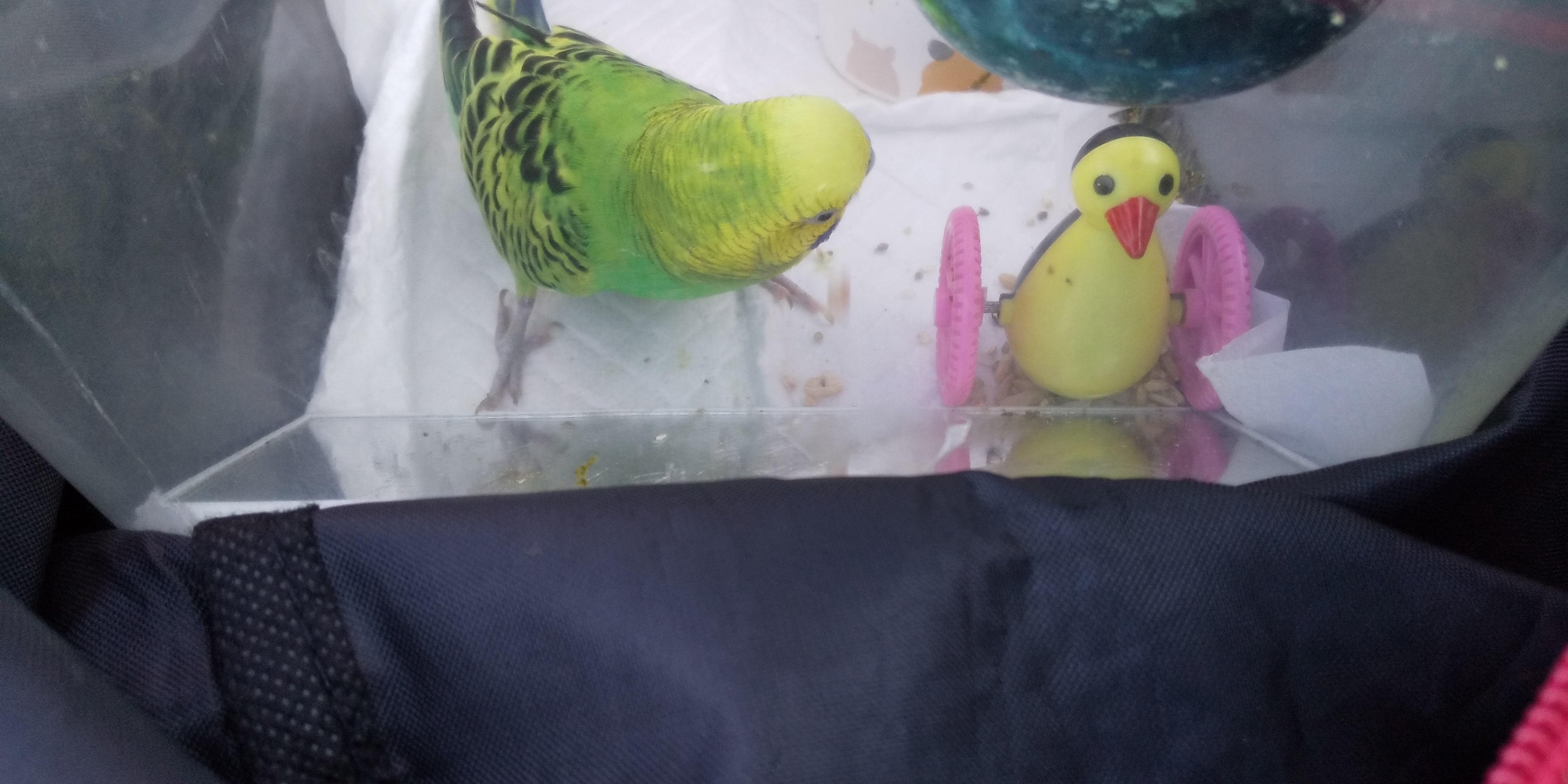 ユーザーの写真