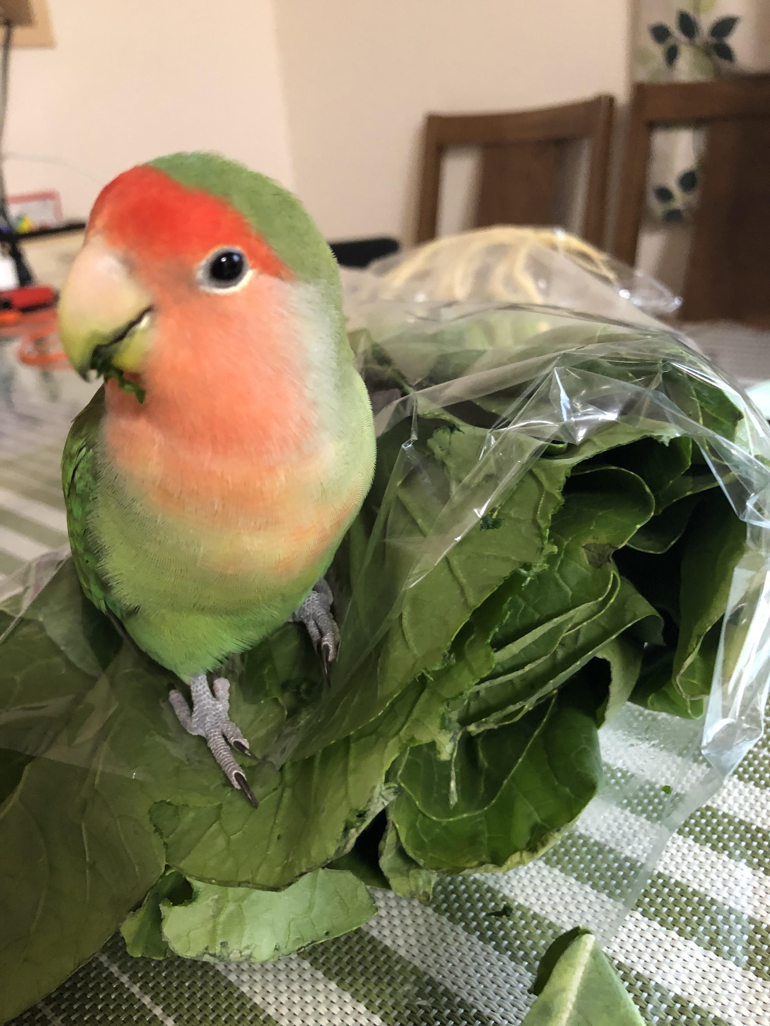 ユーザーの写真