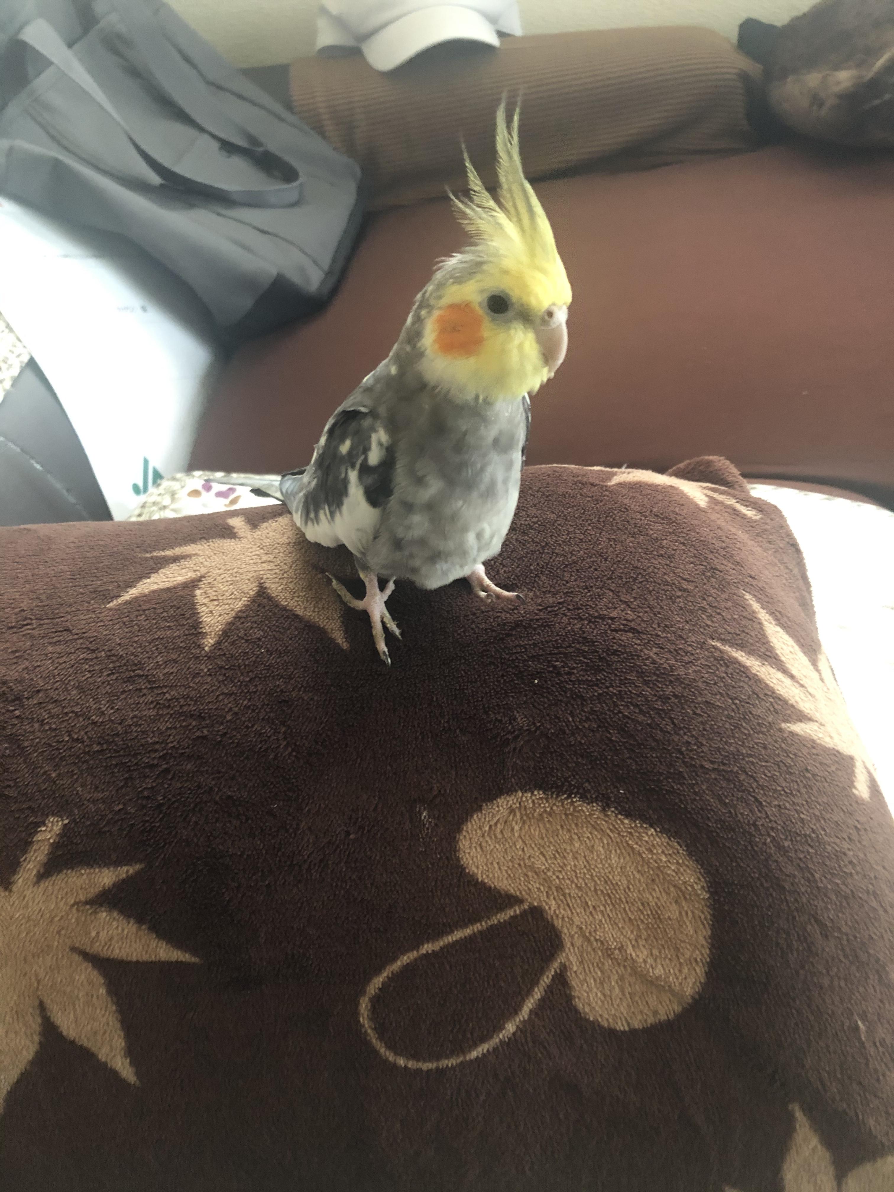 ユーザーの写真