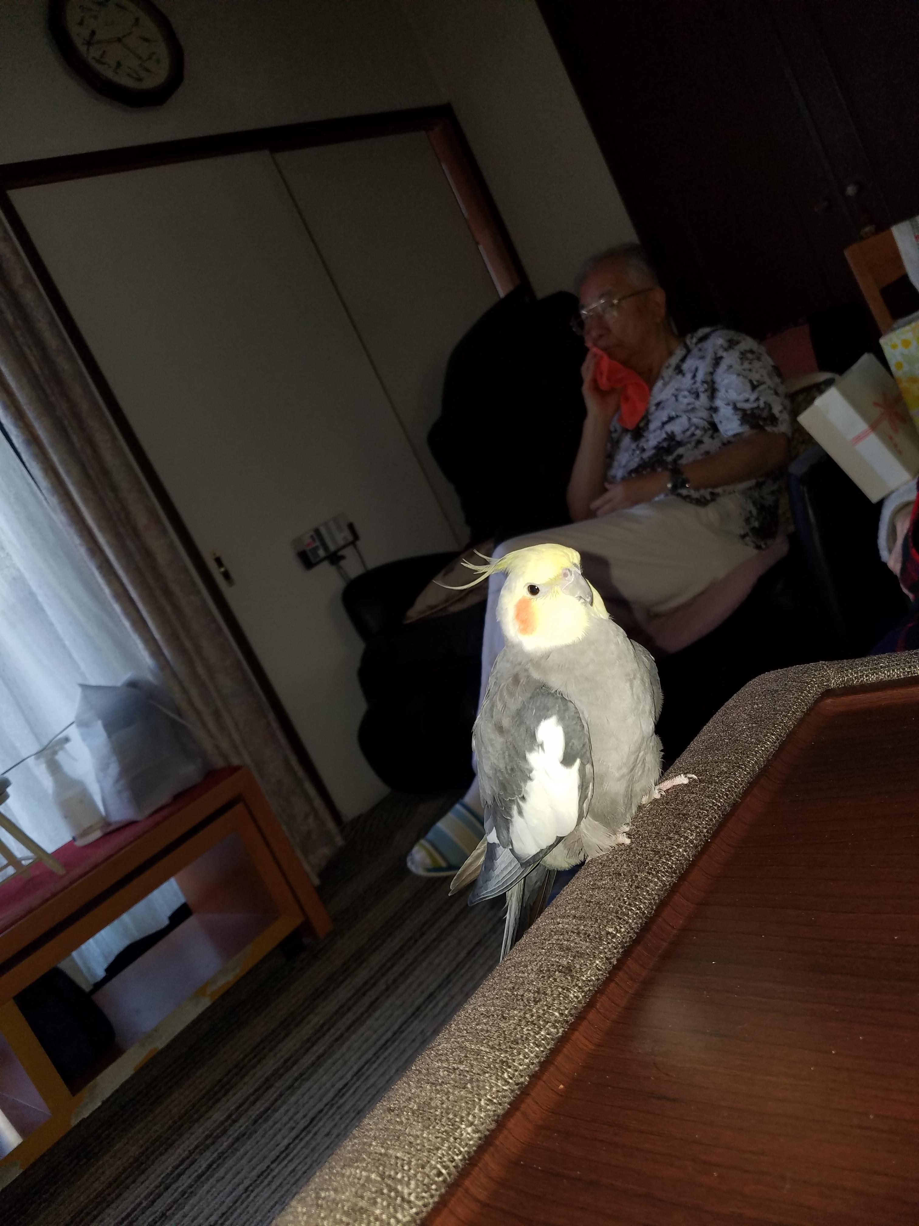 ユーザーの写真