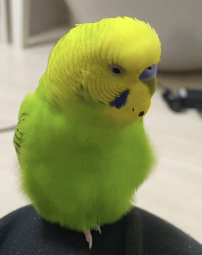 ユーザーの写真