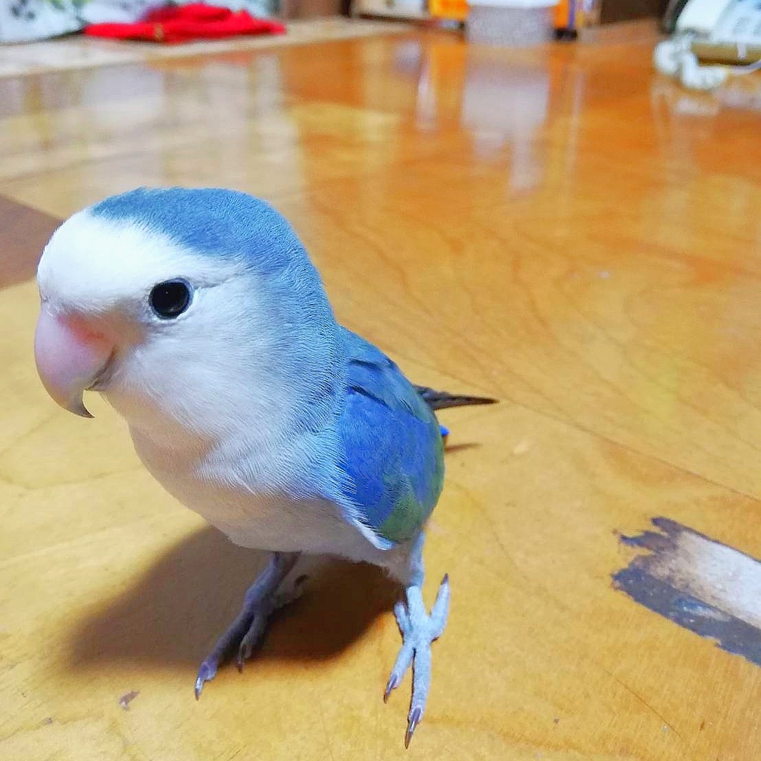 ユーザーの写真