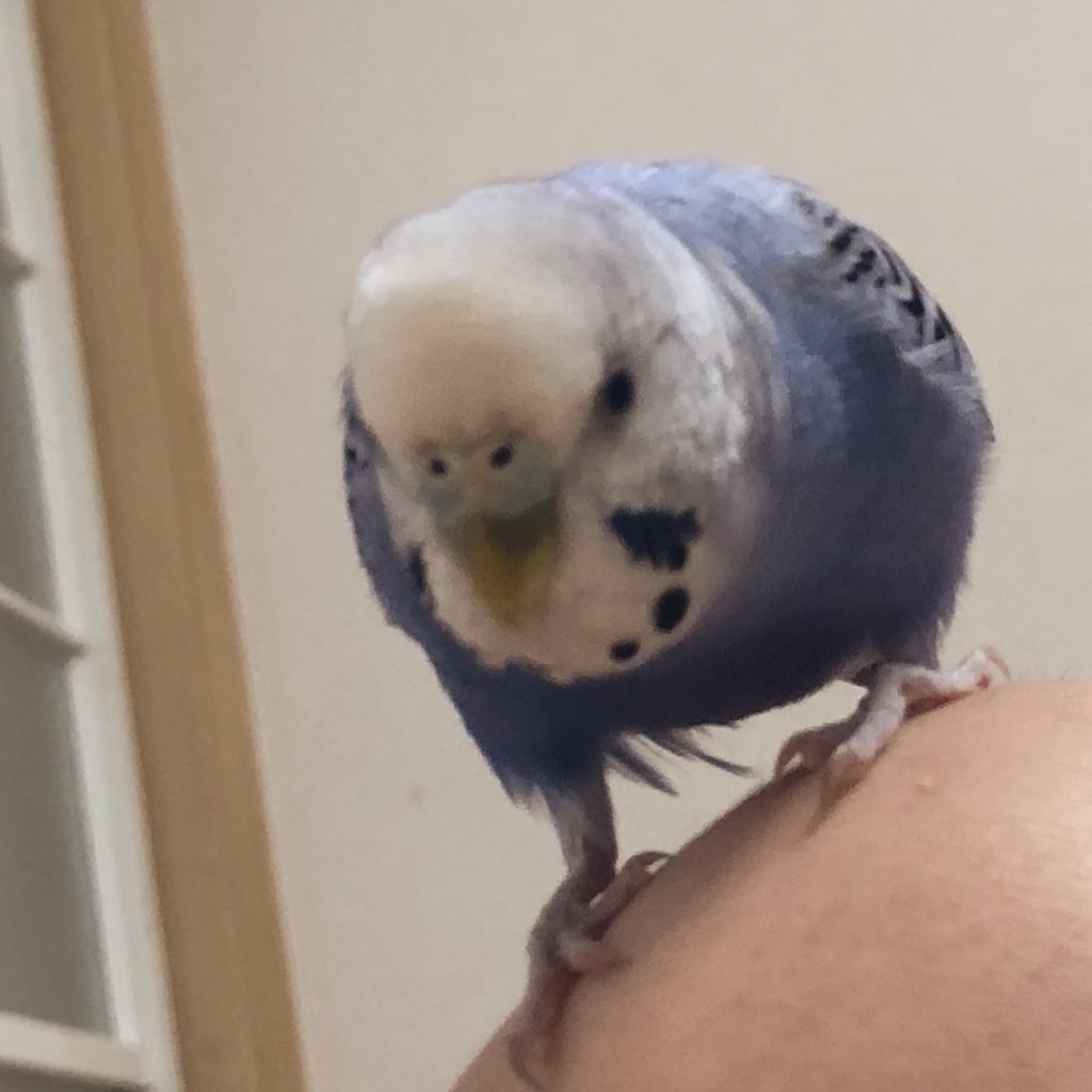 ユーザーの写真