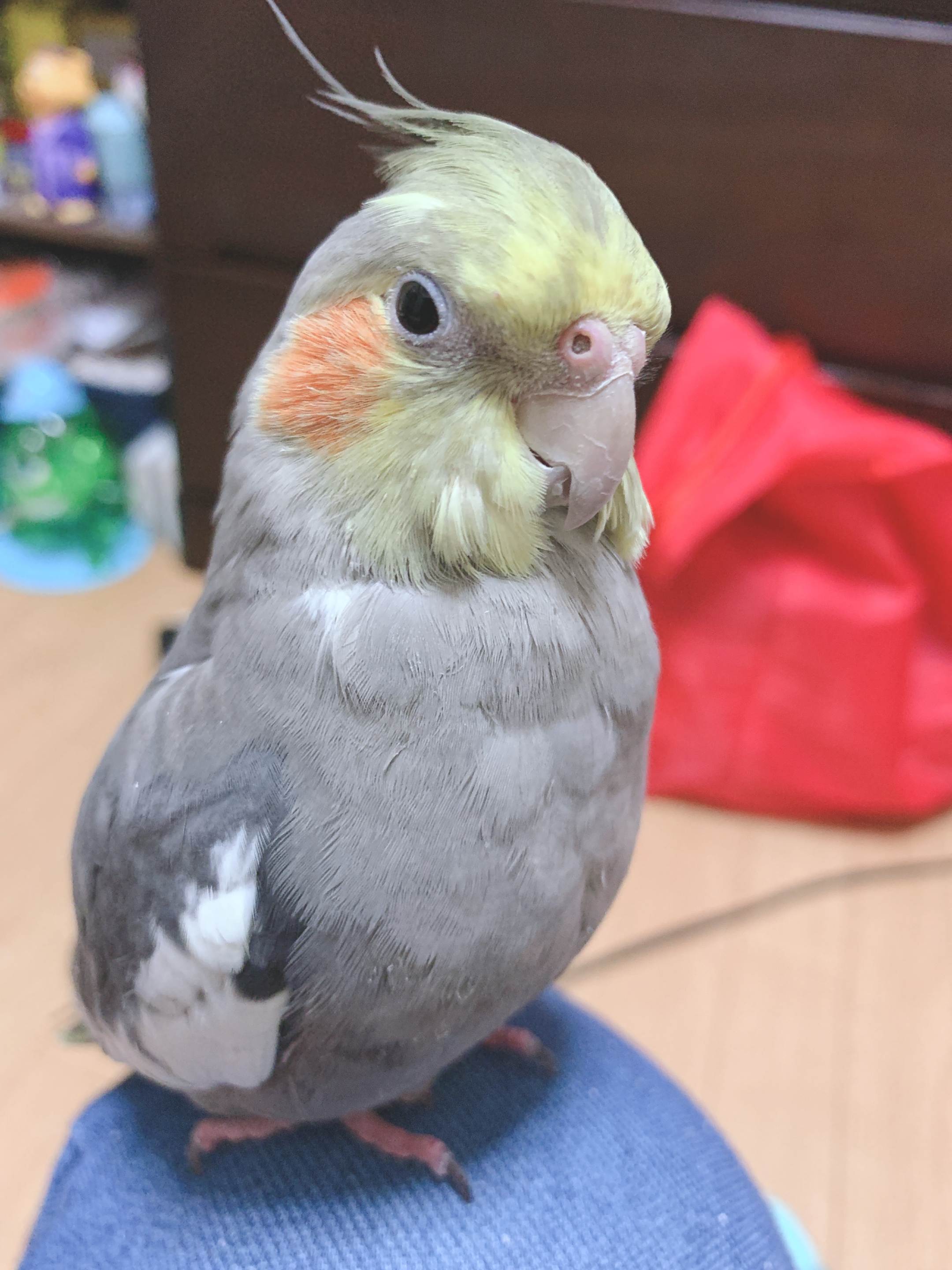 ユーザーの写真