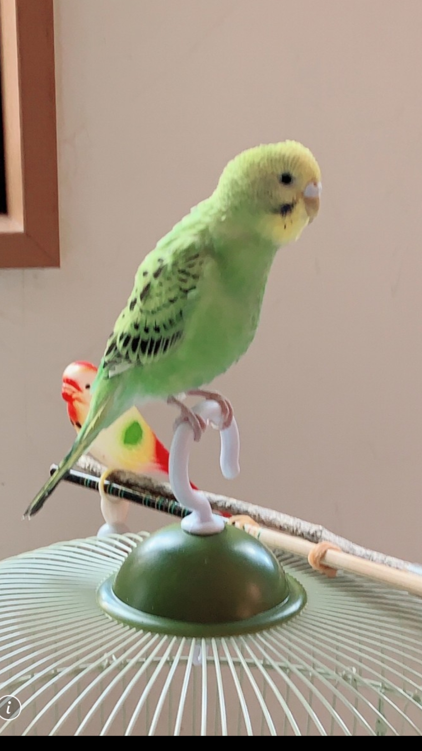 ユーザーの写真
