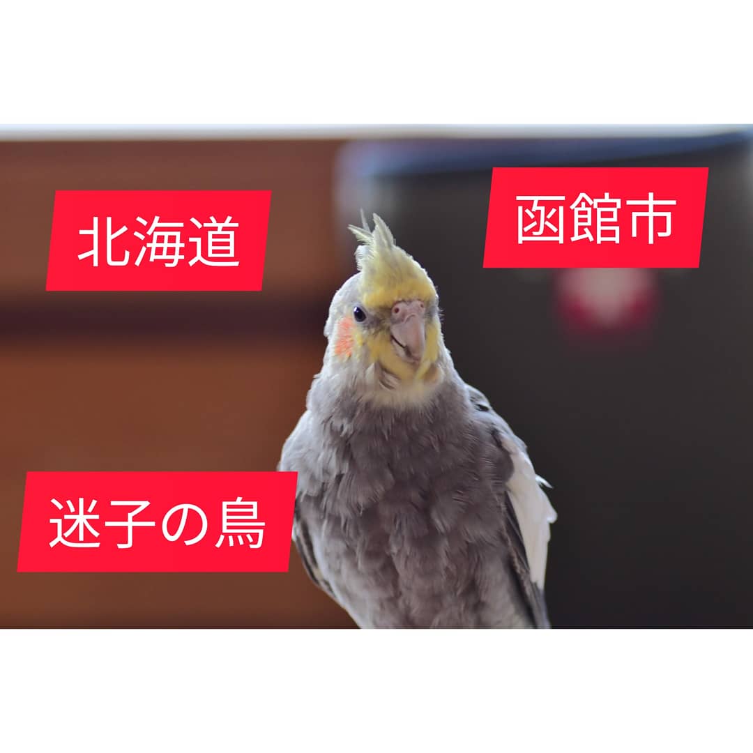 ユーザーの写真