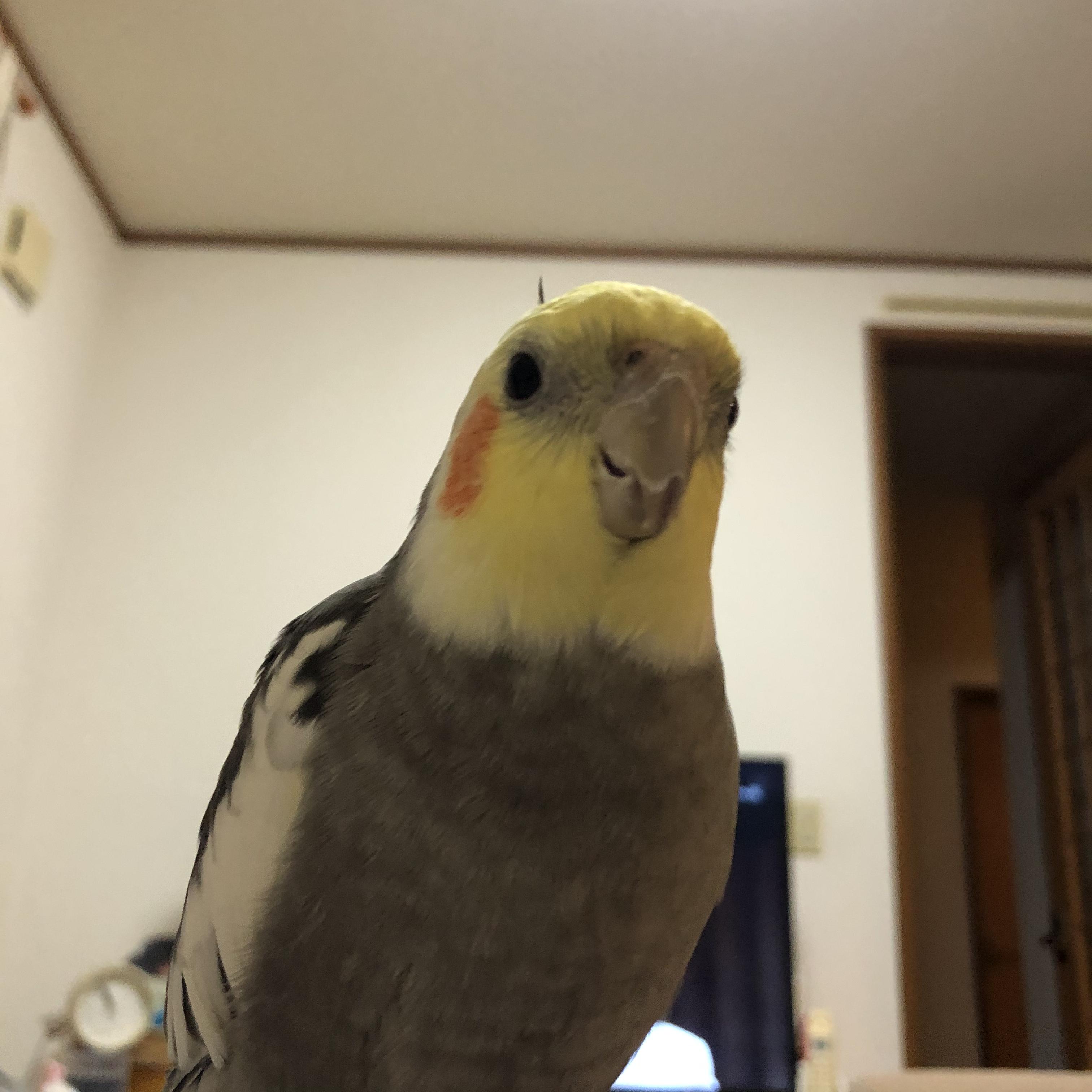 ユーザーの写真