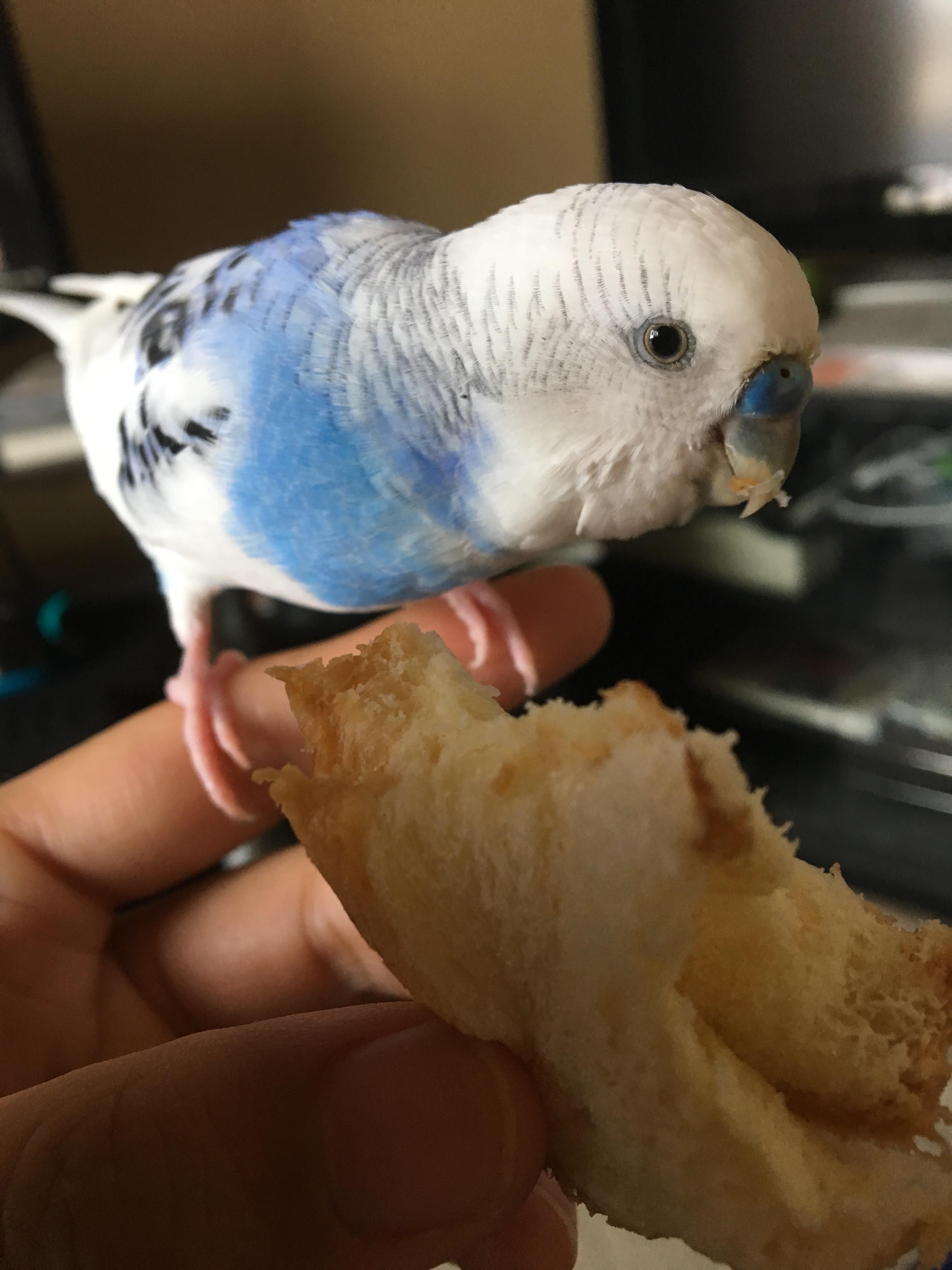 ユーザーの写真