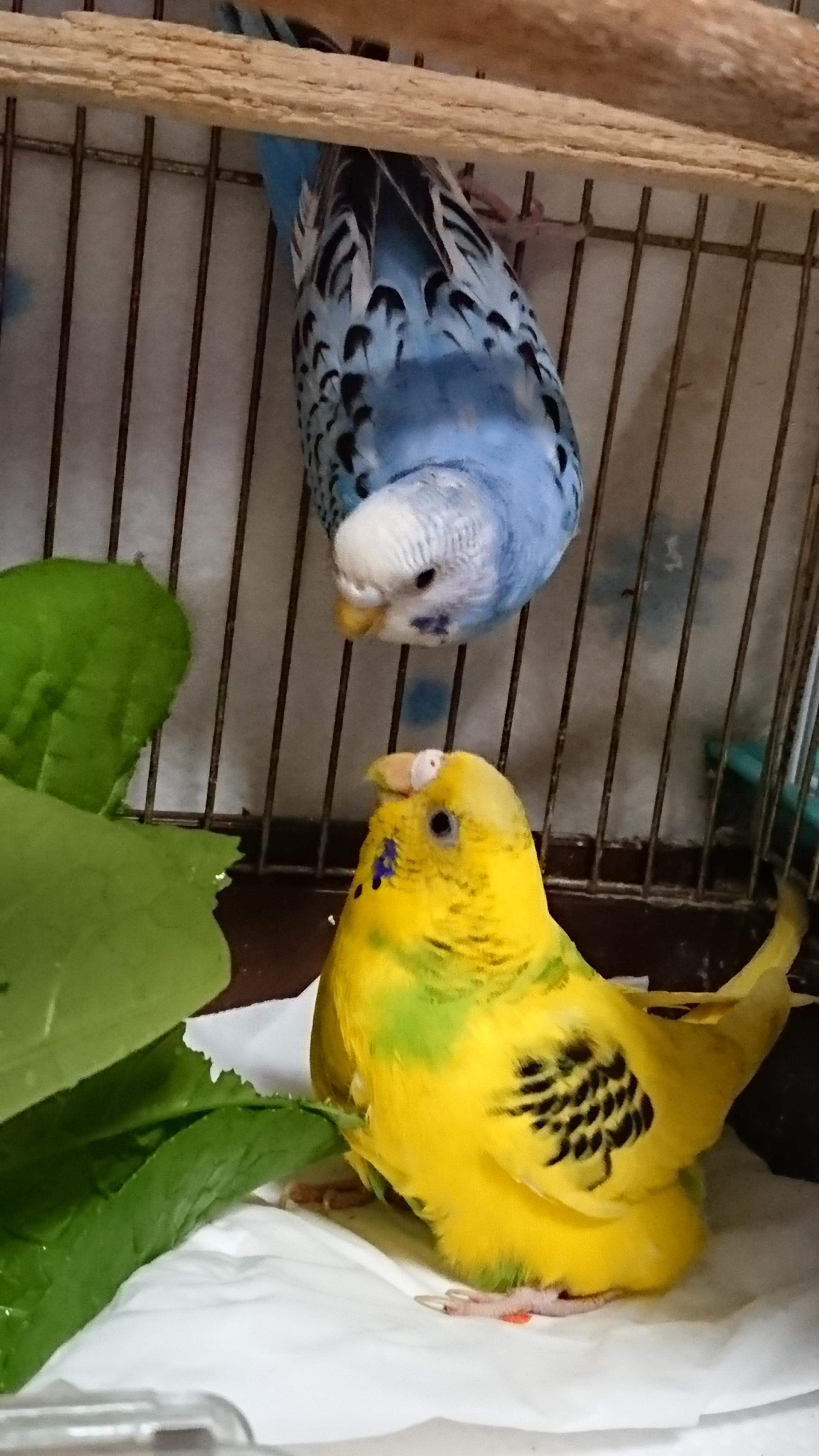ユーザーの写真