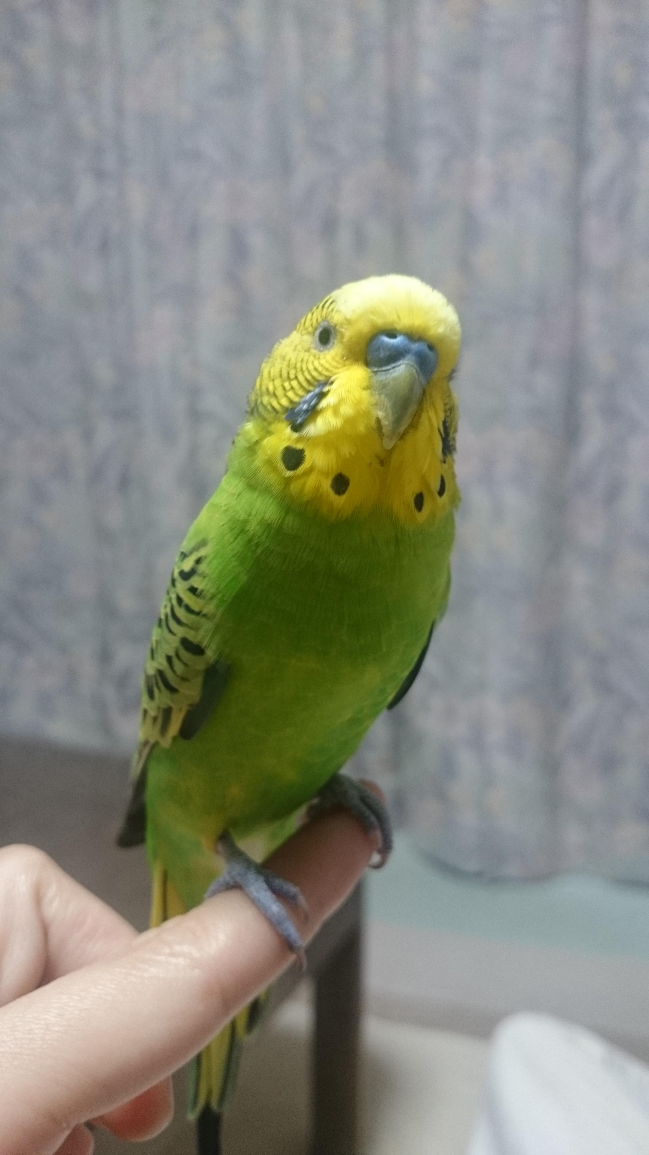 ユーザーの写真