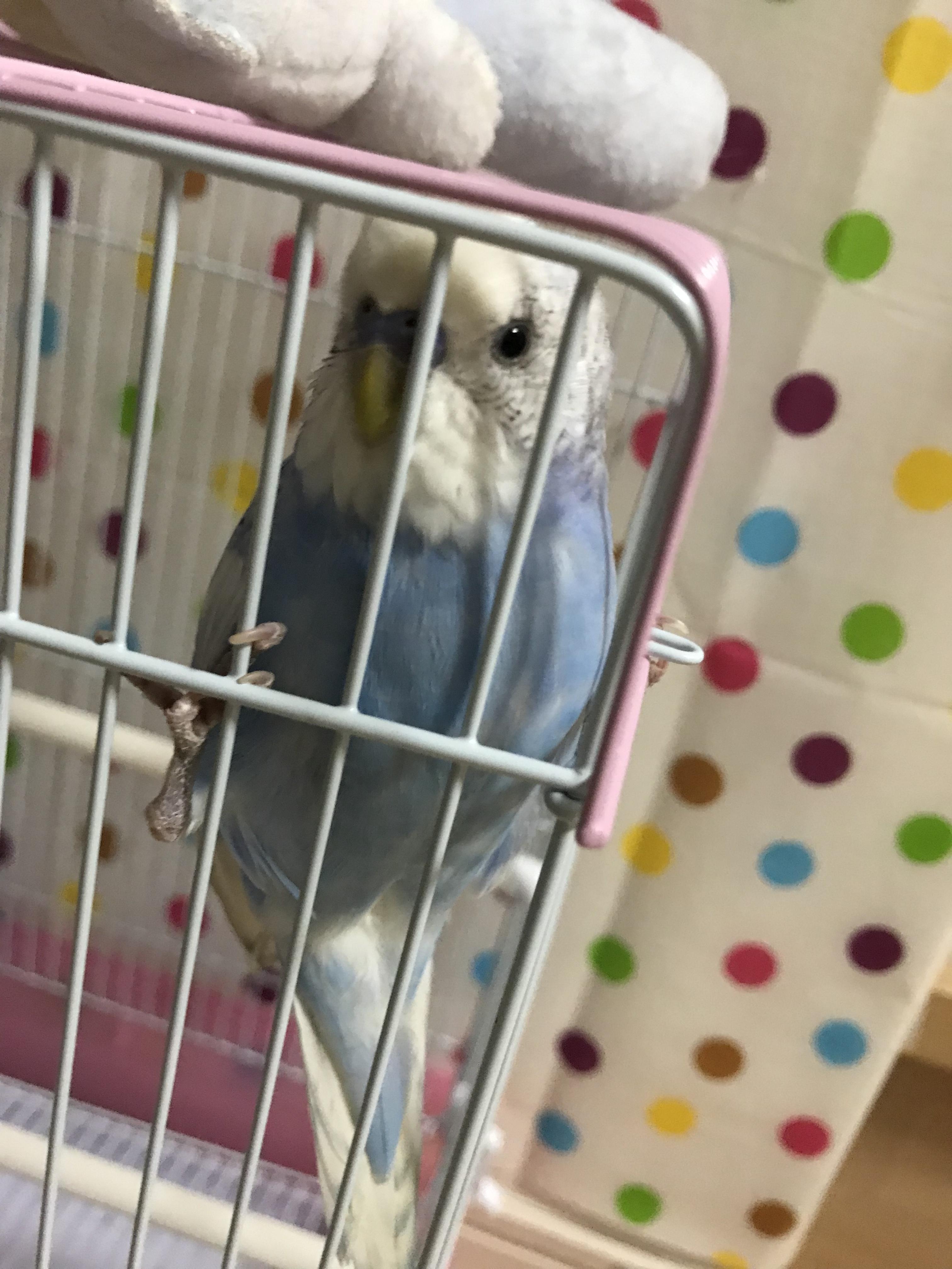 ユーザーの写真