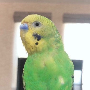 ユーザーの写真