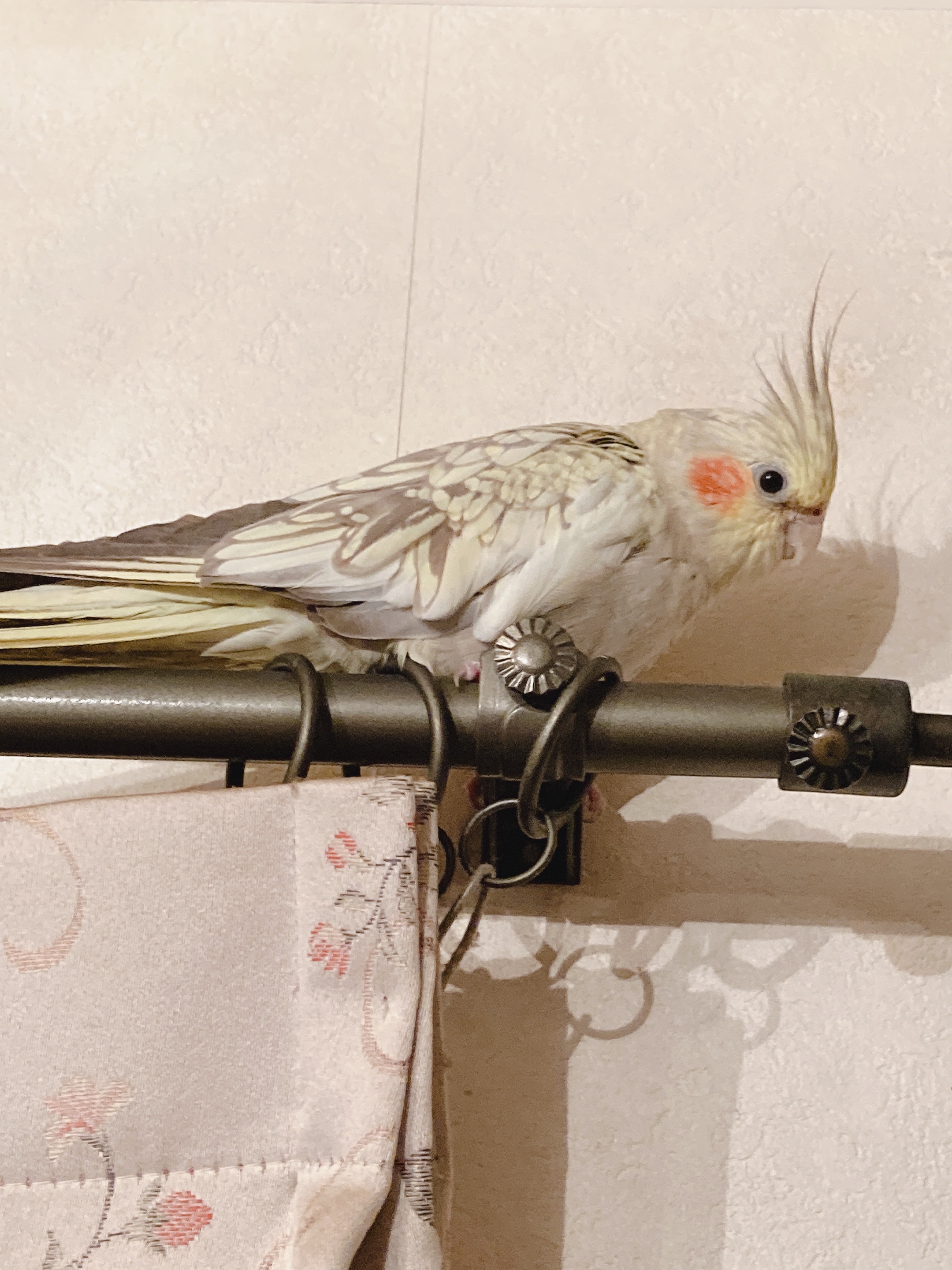 ユーザーの写真