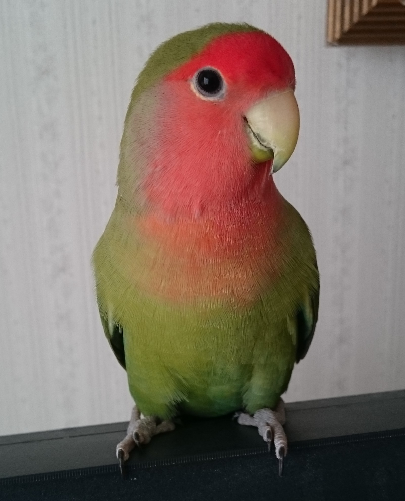 ユーザーの写真