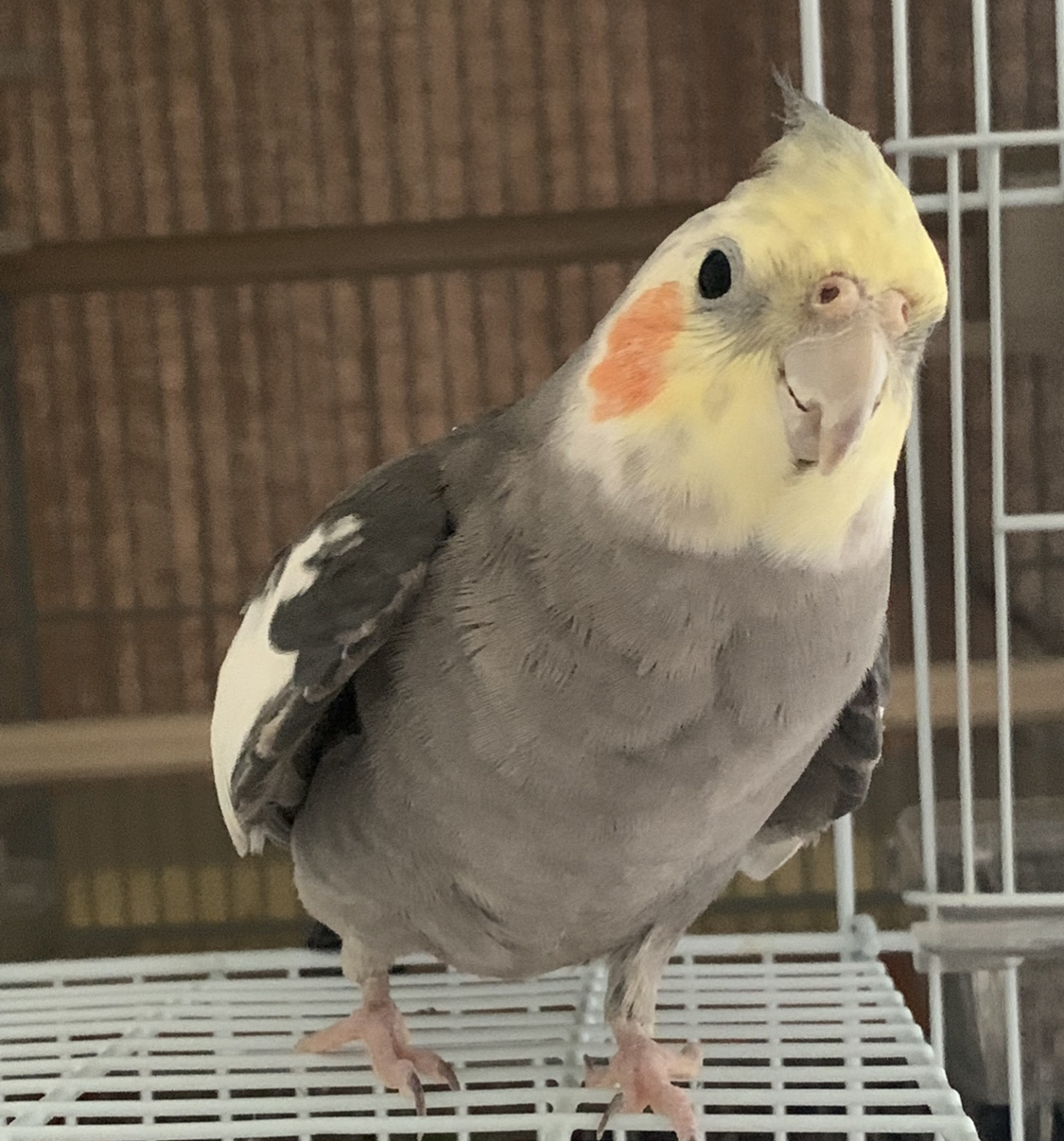ユーザーの写真
