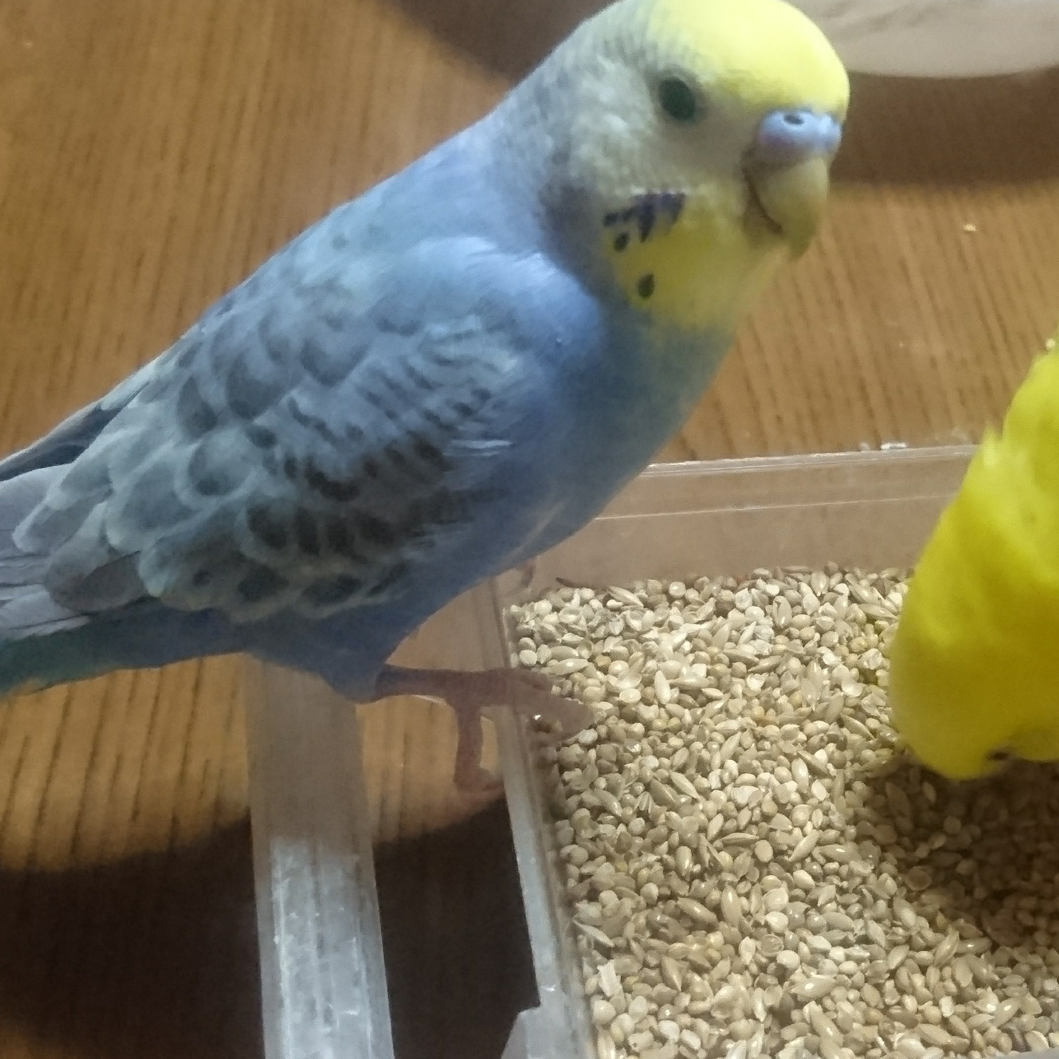ユーザーの写真