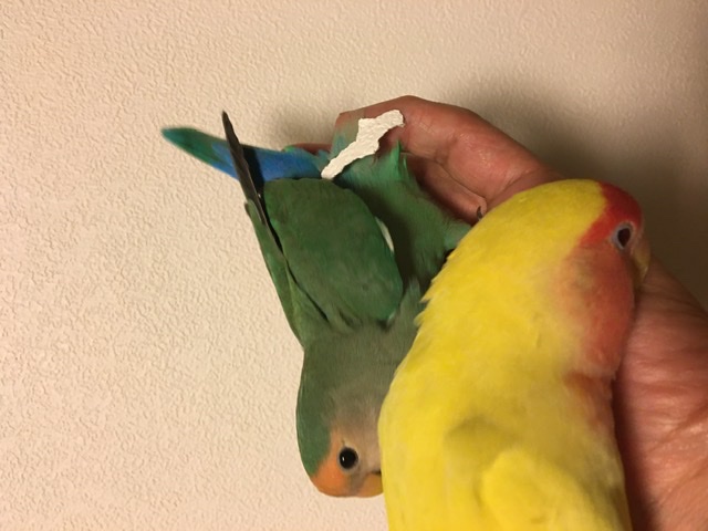 ユーザーの写真