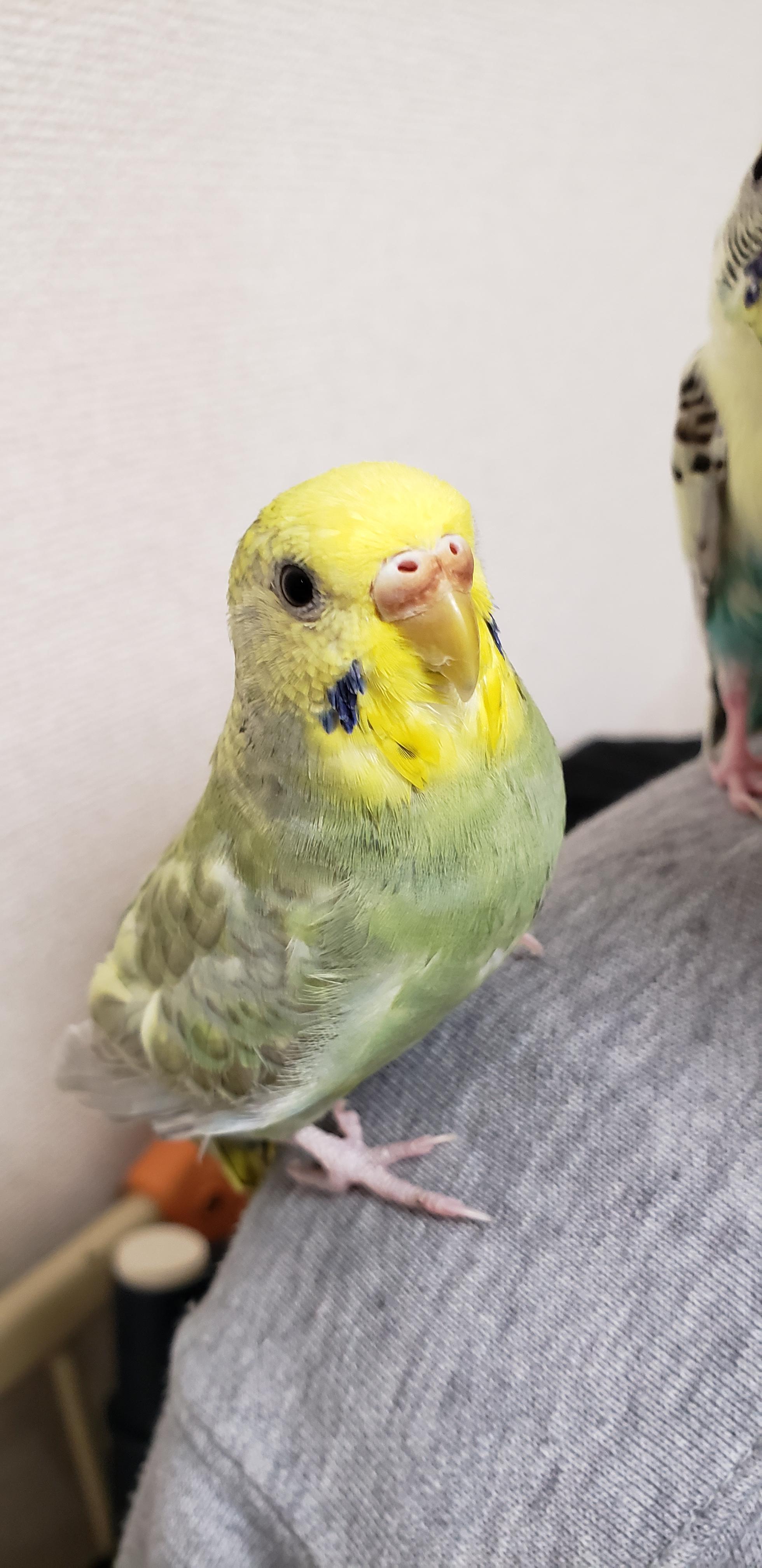 ユーザーの写真