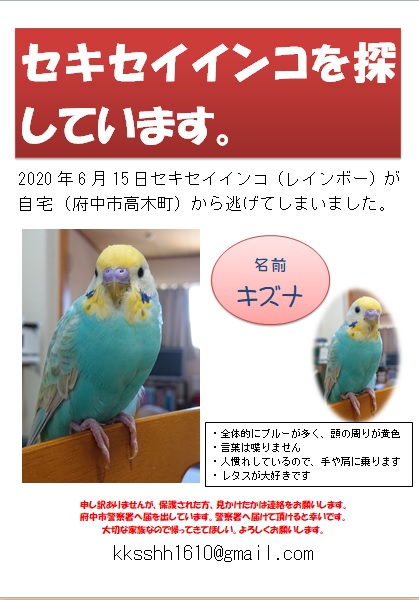 ユーザーの写真