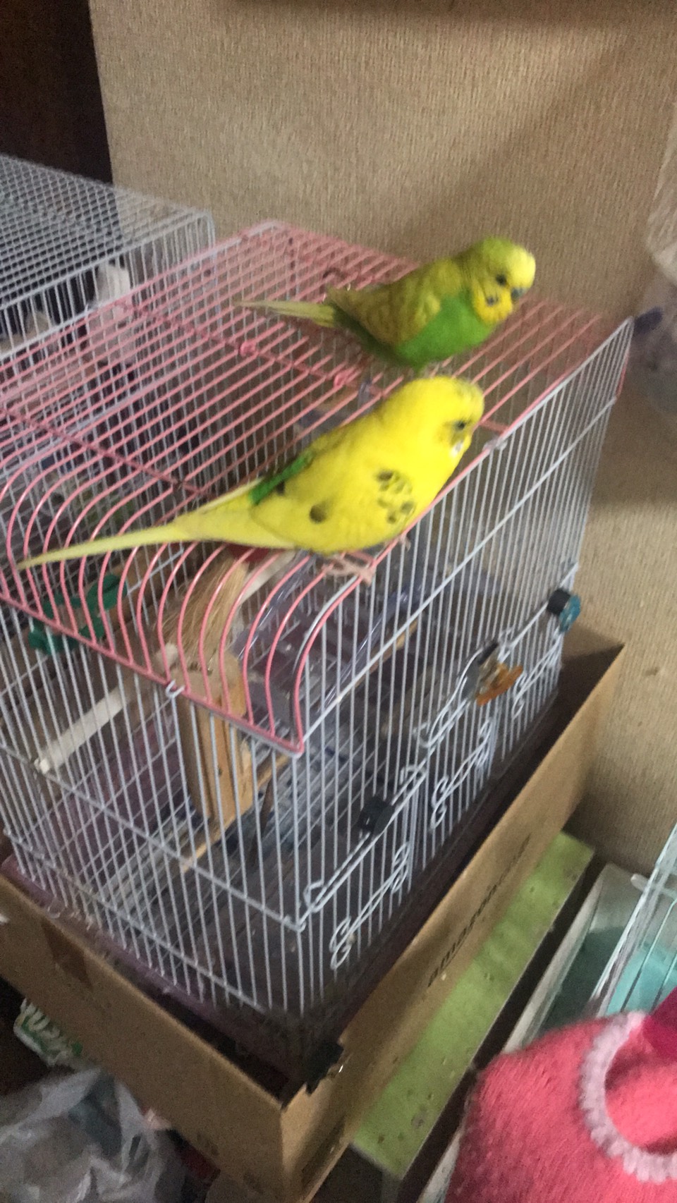 ユーザーの写真