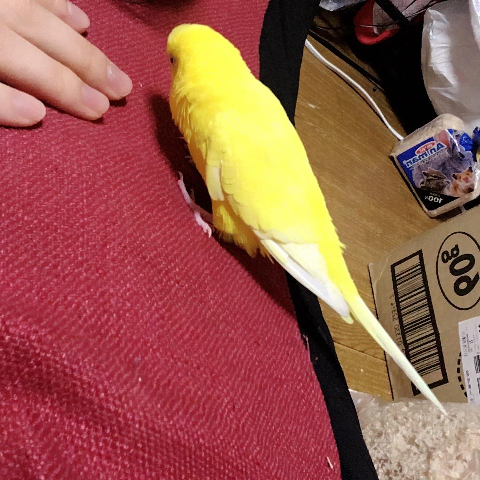 ユーザーの写真