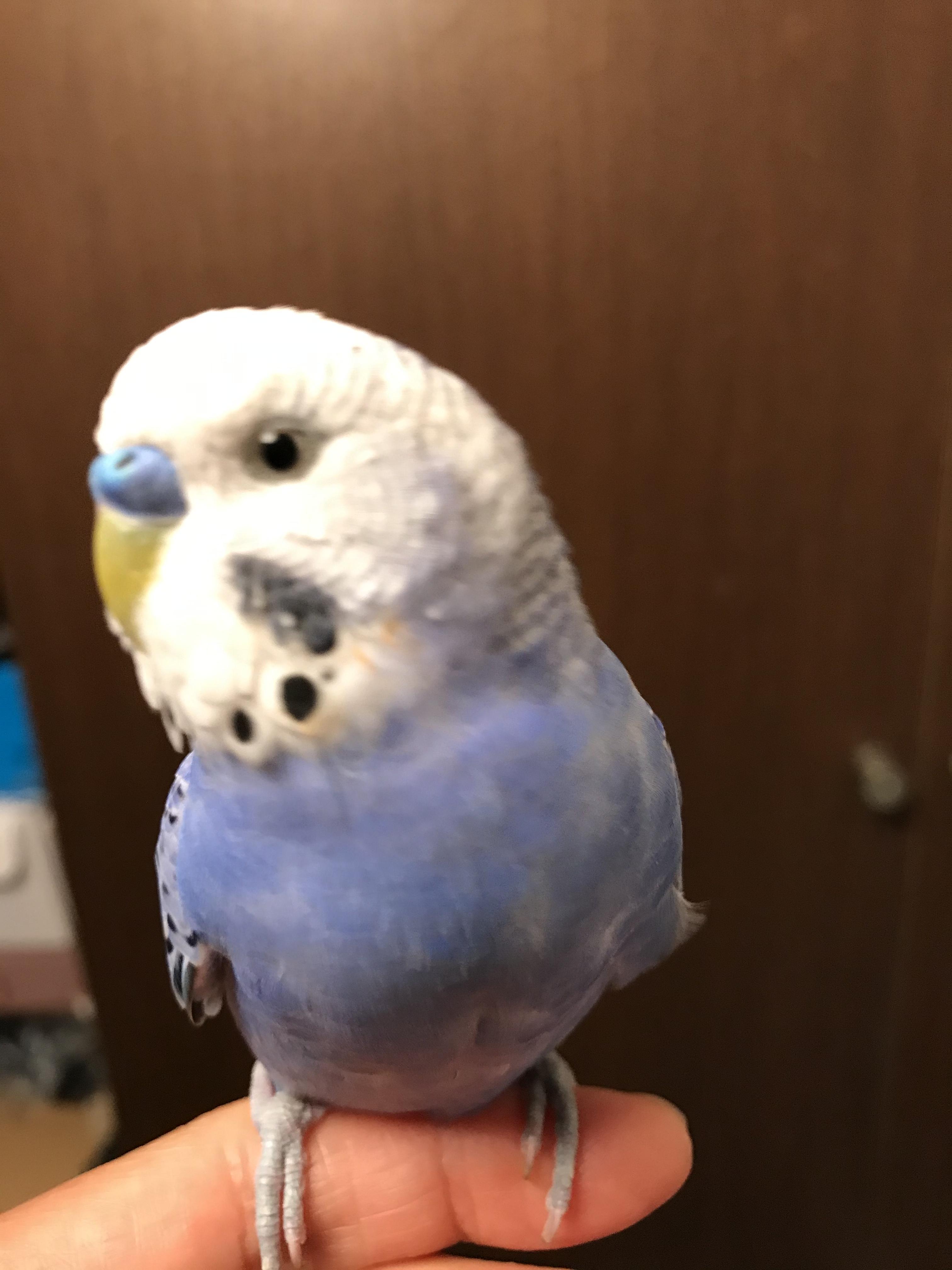 ユーザーの写真